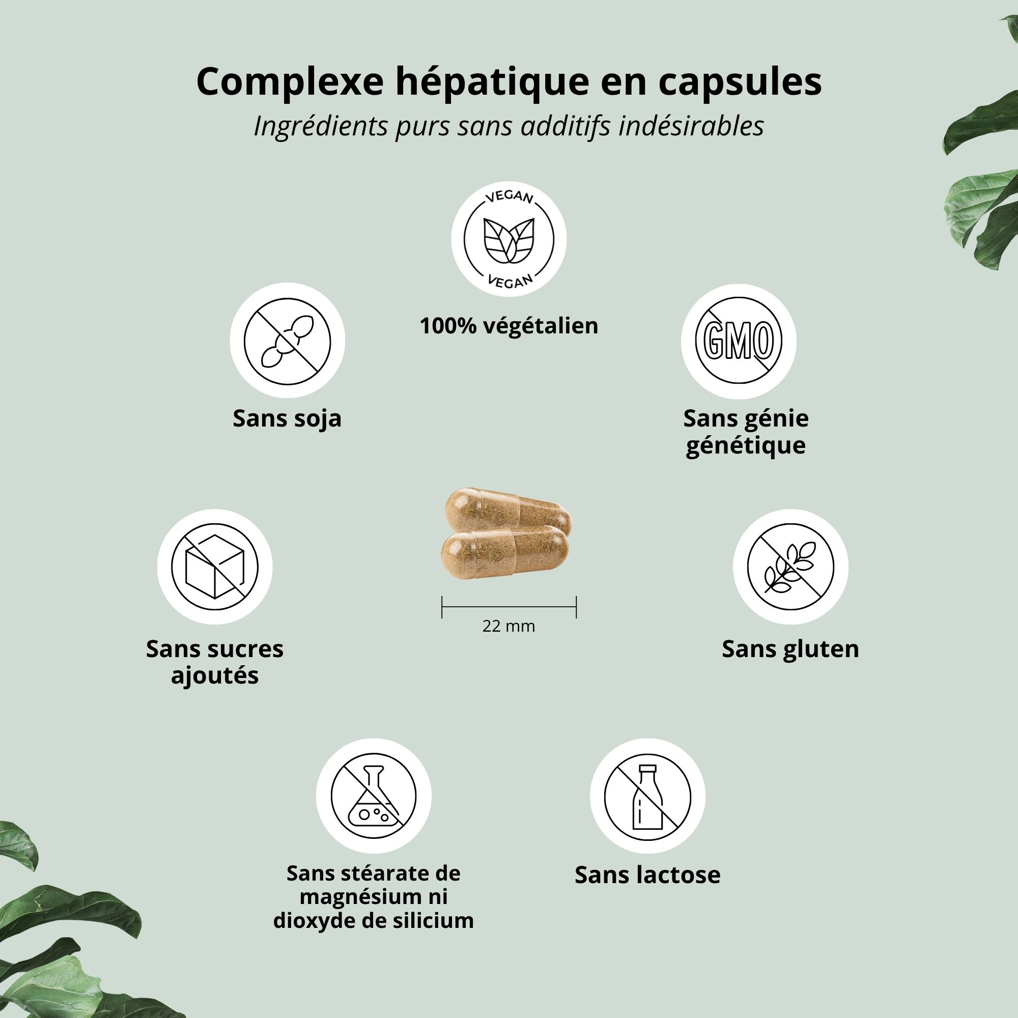 Deux gélules. Texte : 100% végétalien, sans soja, sans sucre ajouté, sans stéarate de magnésium, sans OGM, sans gluten, sans lactose.