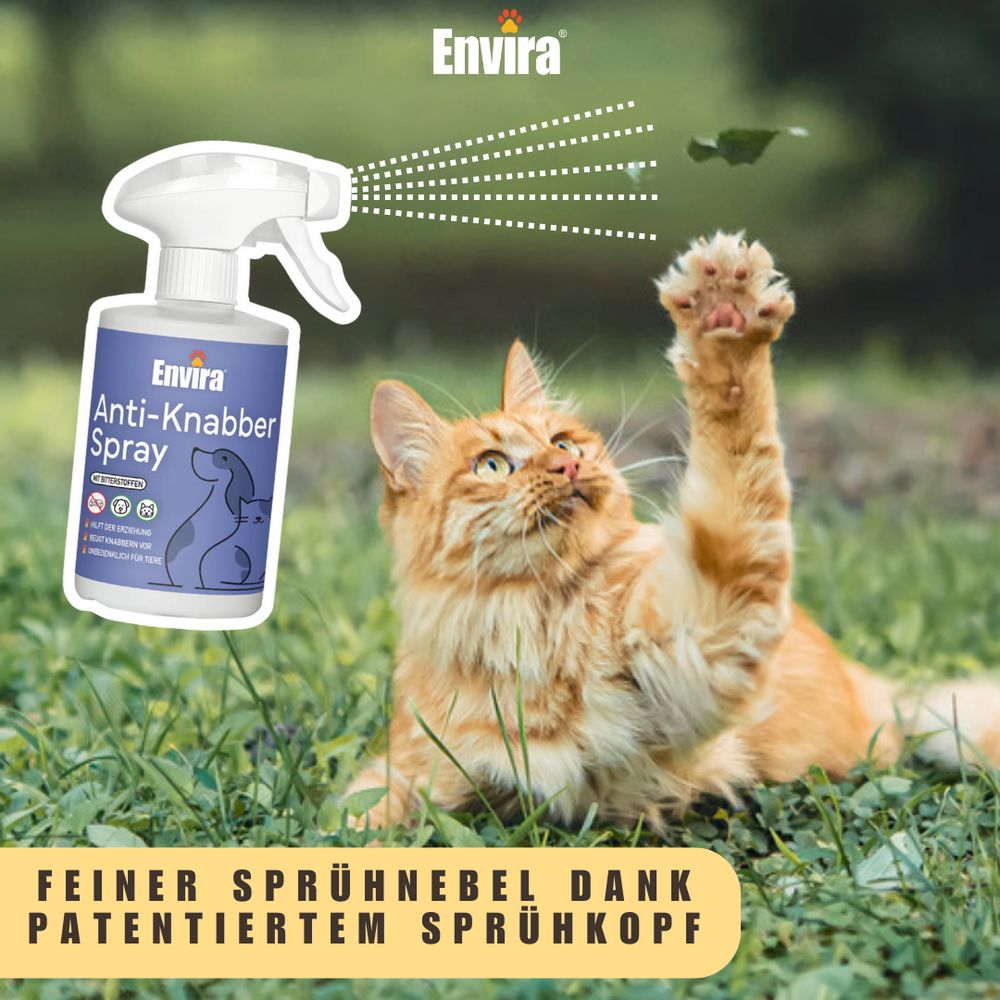Chat roux jouant dans l'herbe. Flacon "Envira Anti-Knabber Spray" dans l'image. Fine brume grâce à la tête de pulvérisation brevetée.