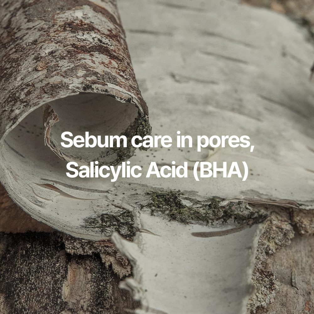 Gros plan sur de l'écorce de bouleau. Texte: Sebum care in pores, Salicylic Acid (BHA).