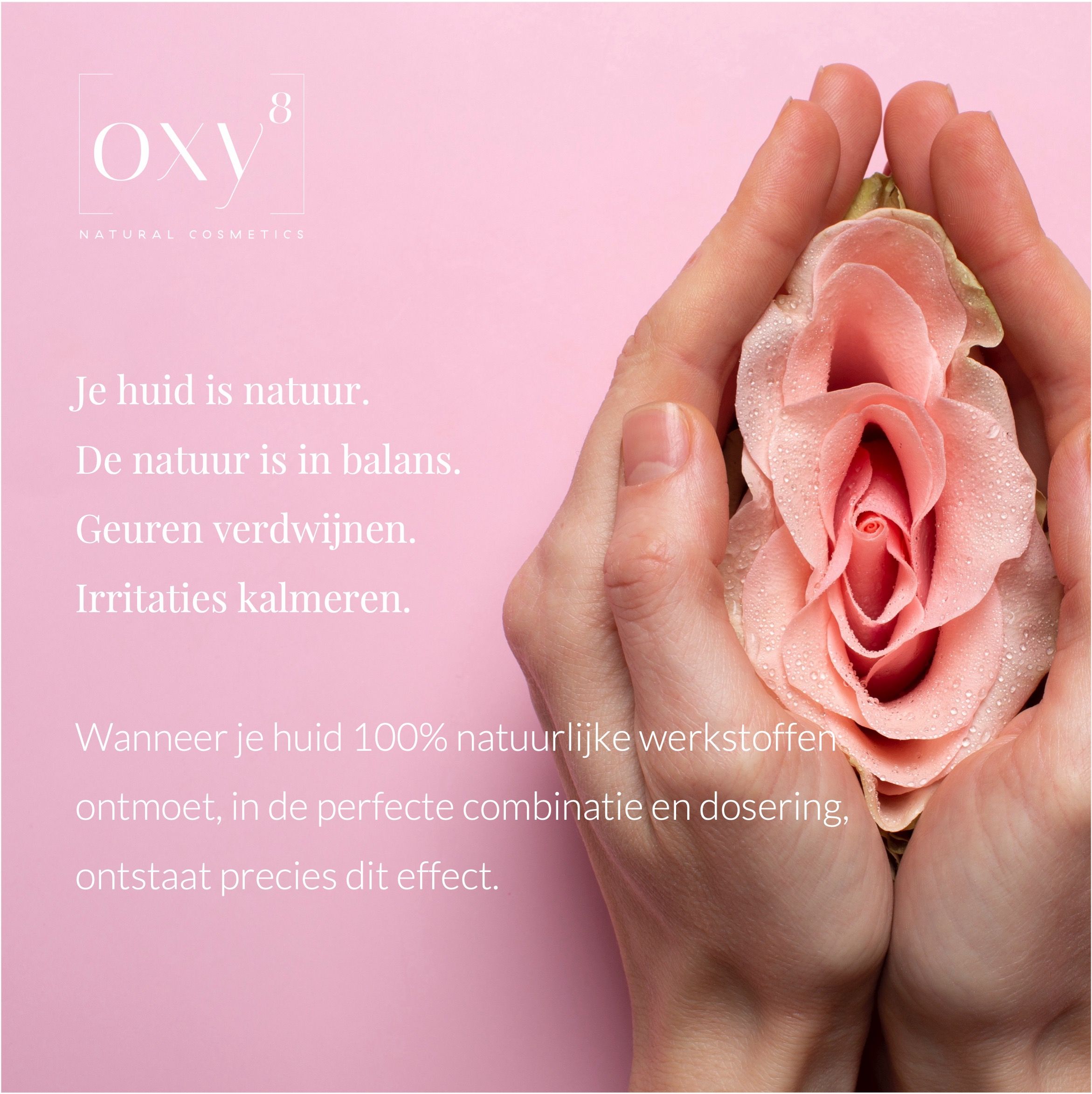 Handen houden roos vast. Tekst. Vegan- en bio-keurmerken.