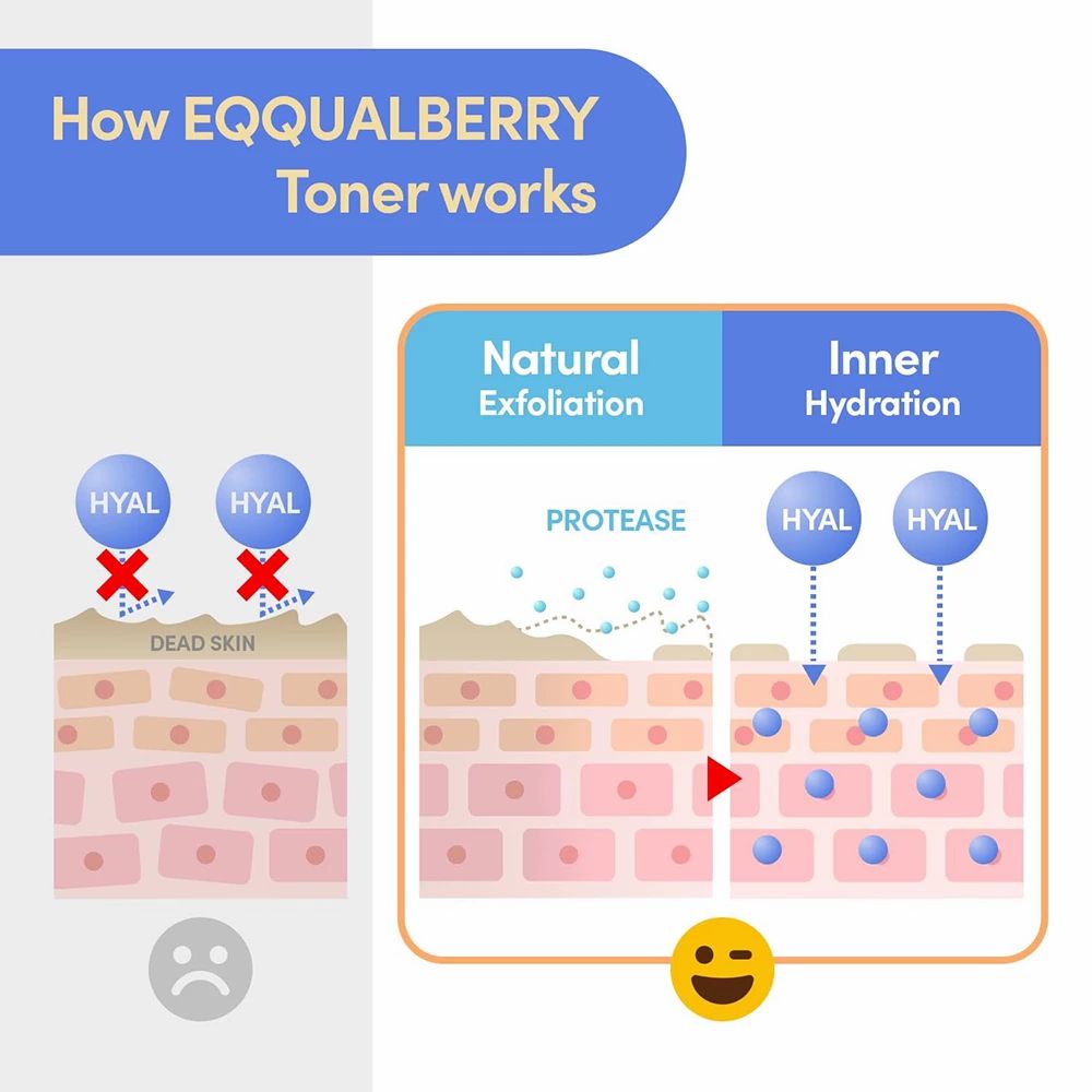 Infographic: Hoe toner werkt. Illustraties van huidlagen en moleculen. Engelse tekst.