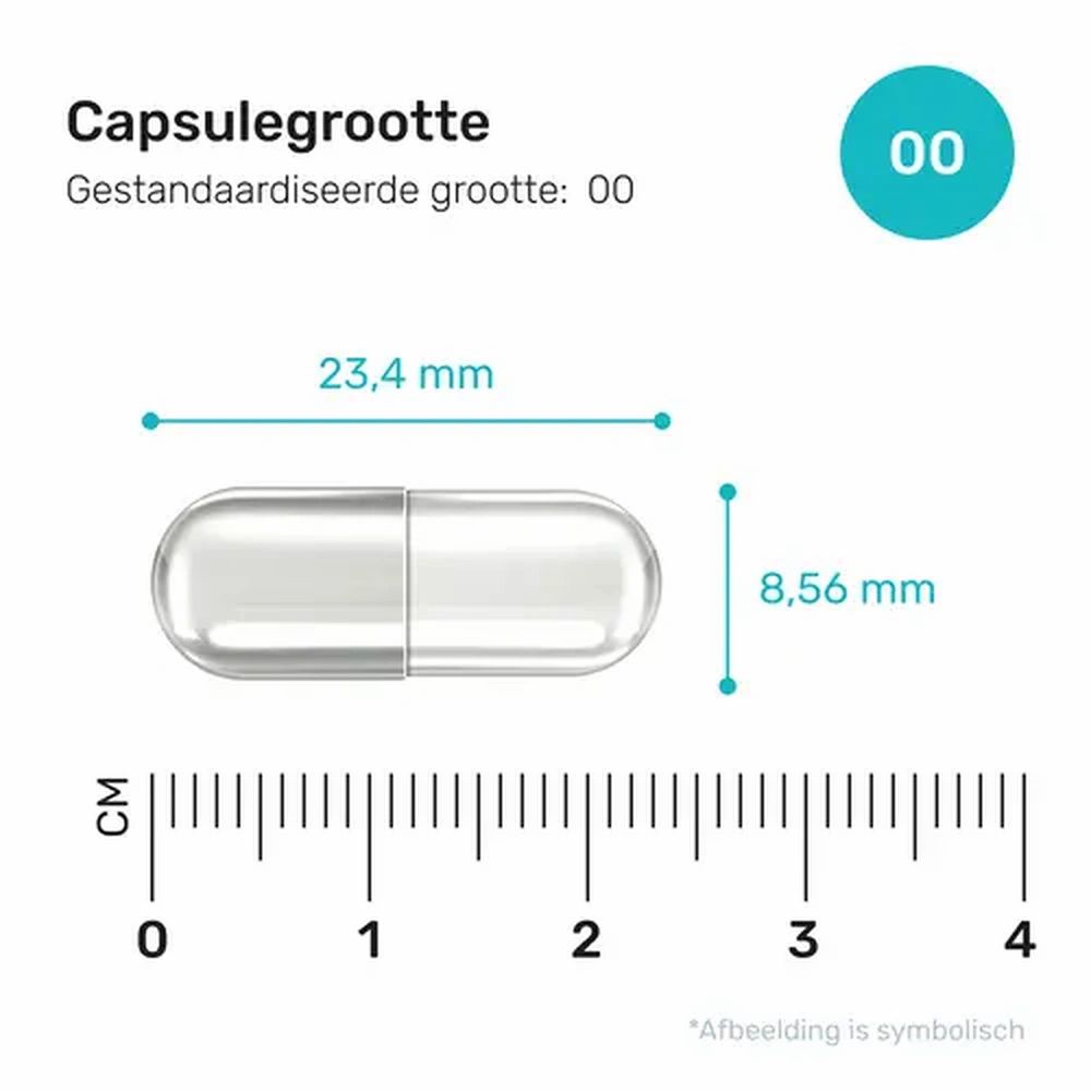 Capsulegrootte met afmetingen: 23,4 mm x 8,56 mm. Gestandaardiseerde grootte: 00. Schaal in cm.