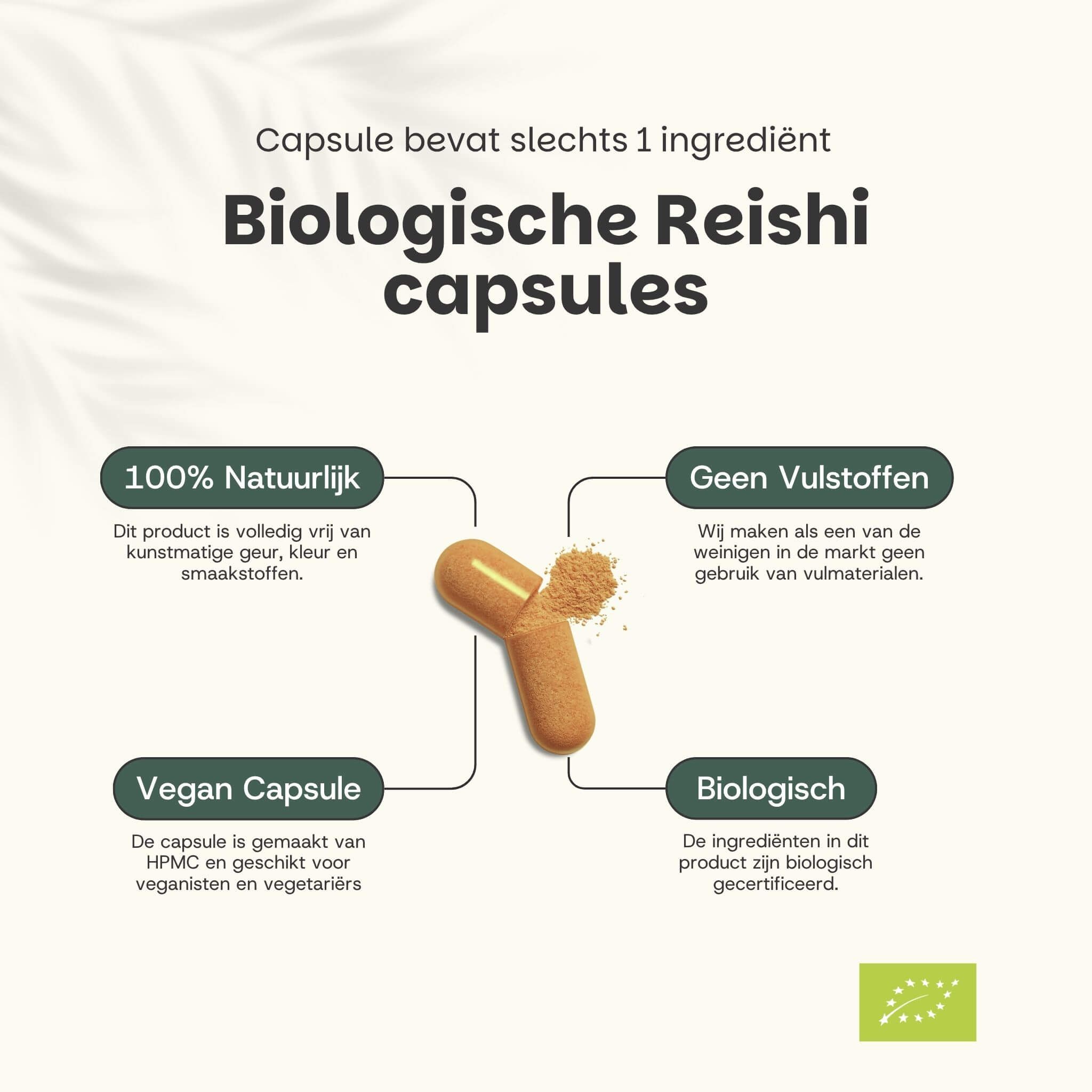 Capsule met inhoud. Tekst: Bio-Reishi capsules. 100% natuurlijk, geen vulstoffen, vegan capsule, biologisch.