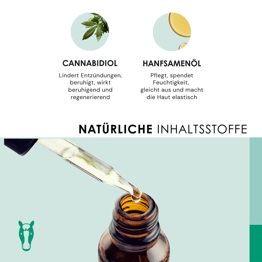 Ingrediënten: Cannabidiol, hennepzaadolie. Druppels in fles. Natuurlijke ingrediënten.