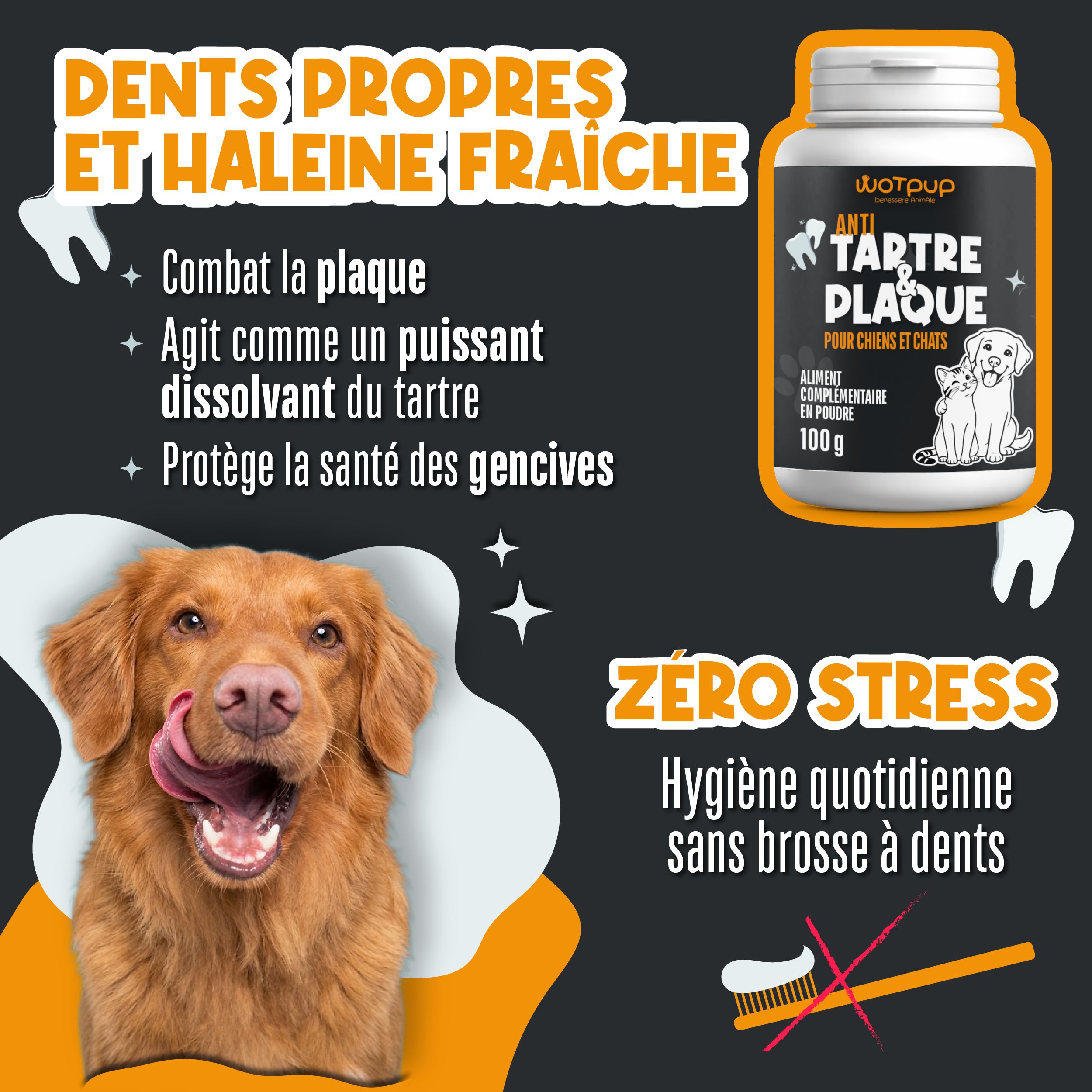 LA.GA PHARMA Dental Bright Poudre Dentaire Chien & Chat – Tartre & Plaque, Menthe, Sauge