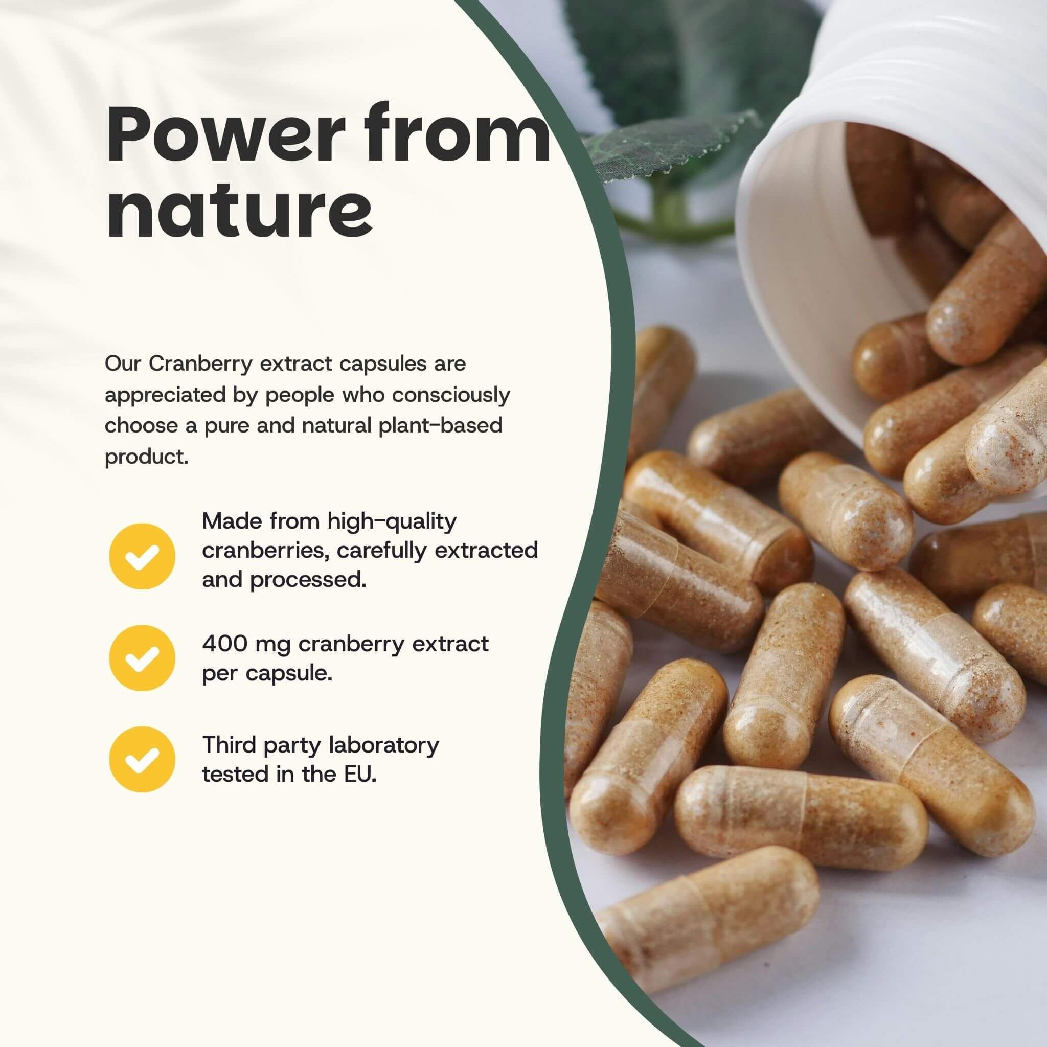 Boîte blanche de gélules de canneberge. Gélules à côté. Texte: 400 mg d'extrait de canneberge par gélule. Testé en laboratoire dans l'UE.