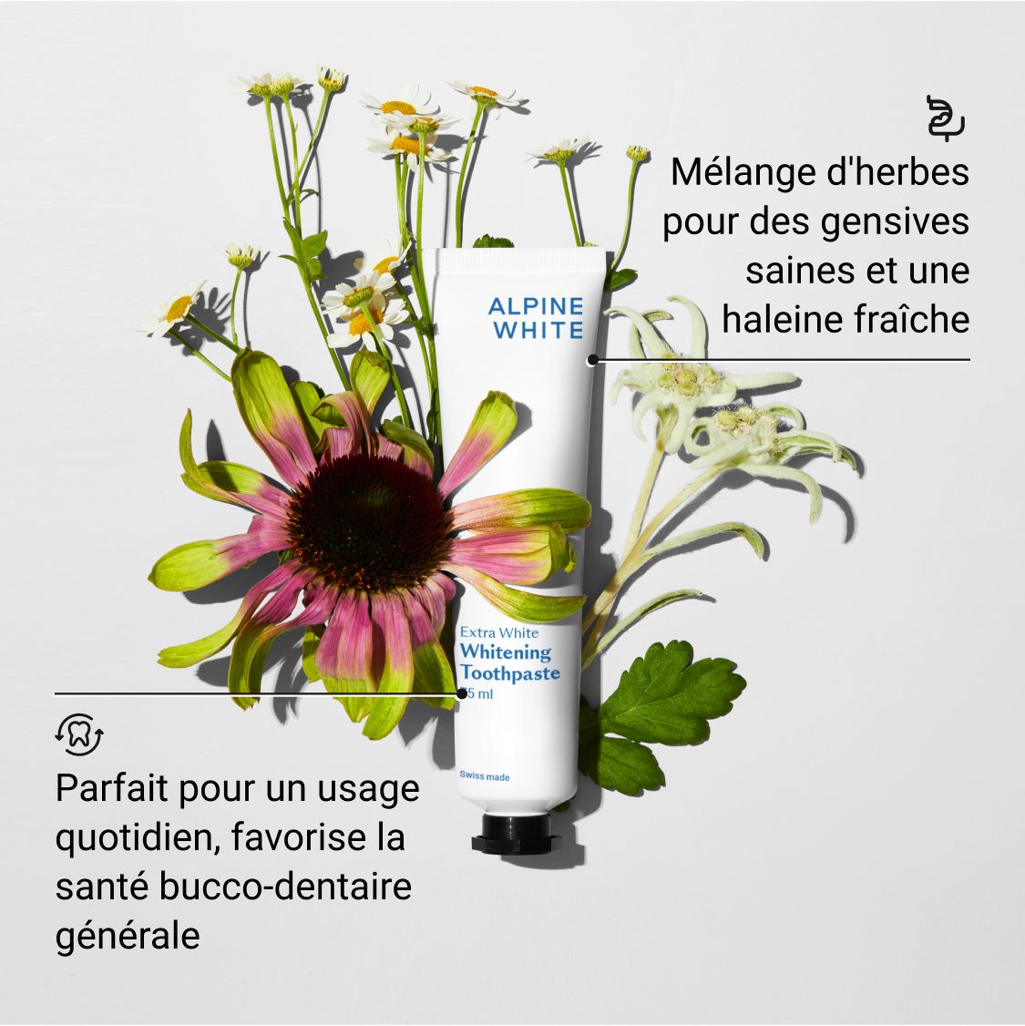 Un tube de ALPINE WHITE Whitening Toothpaste Extra White, entouré de fleurs. Texte: Mélange d'herbes pour des gencives saines et une haleine fraîche.