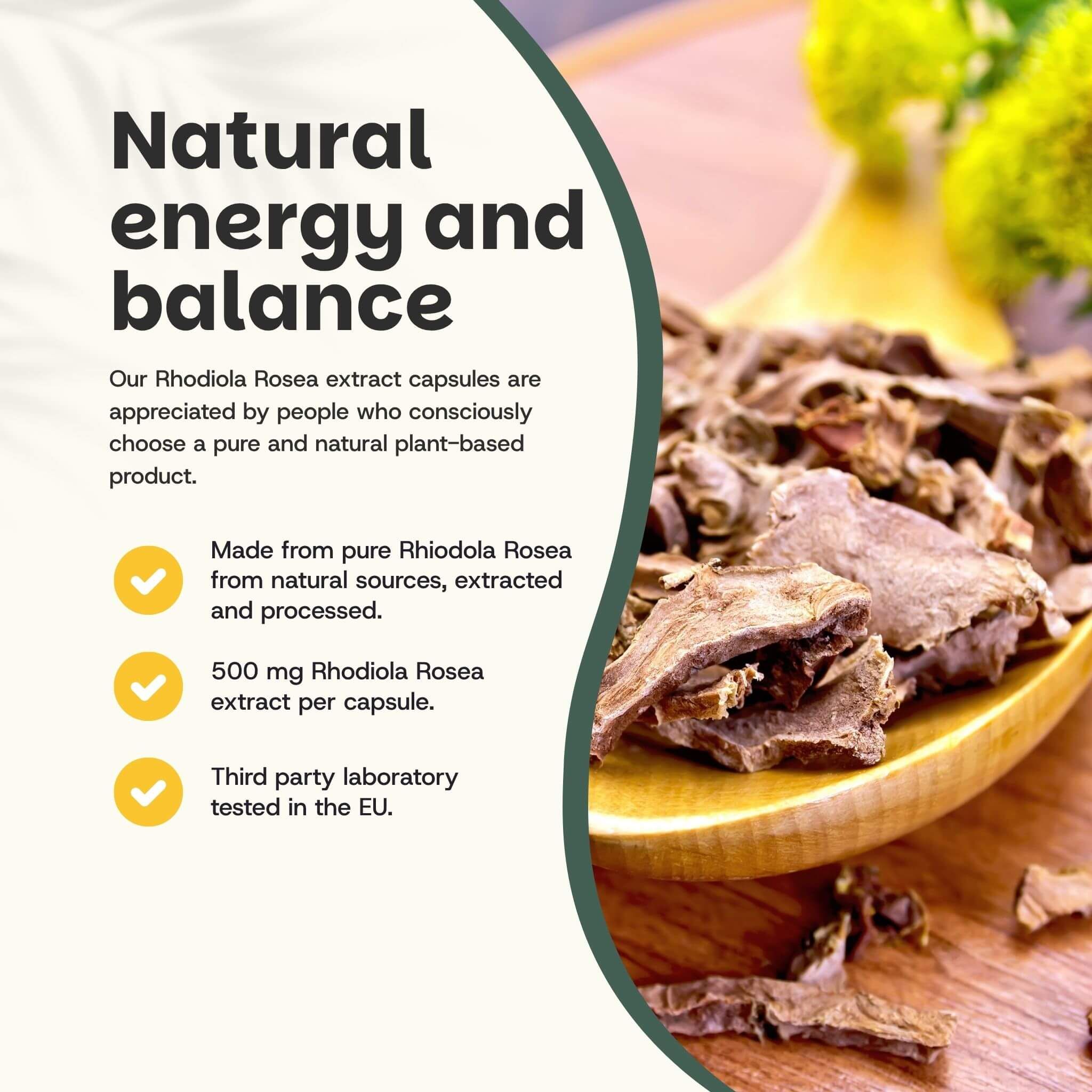 Cuillère en bois avec extrait de Rhodiola Rosea. Texte : Énergie et équilibre naturels. 500 mg d'extrait par gélule.