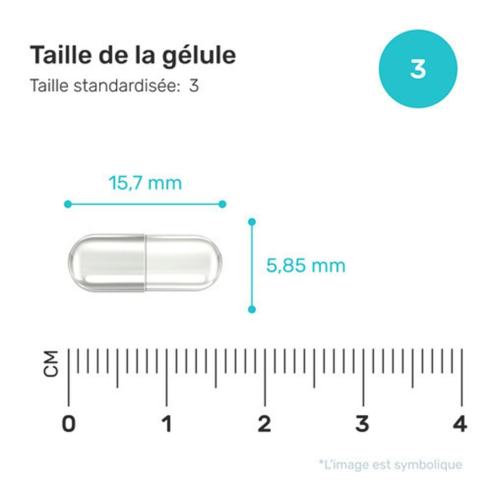 Gélule avec mesures : 15,7 mm x 5,85 mm. Taille standardisée : 3.