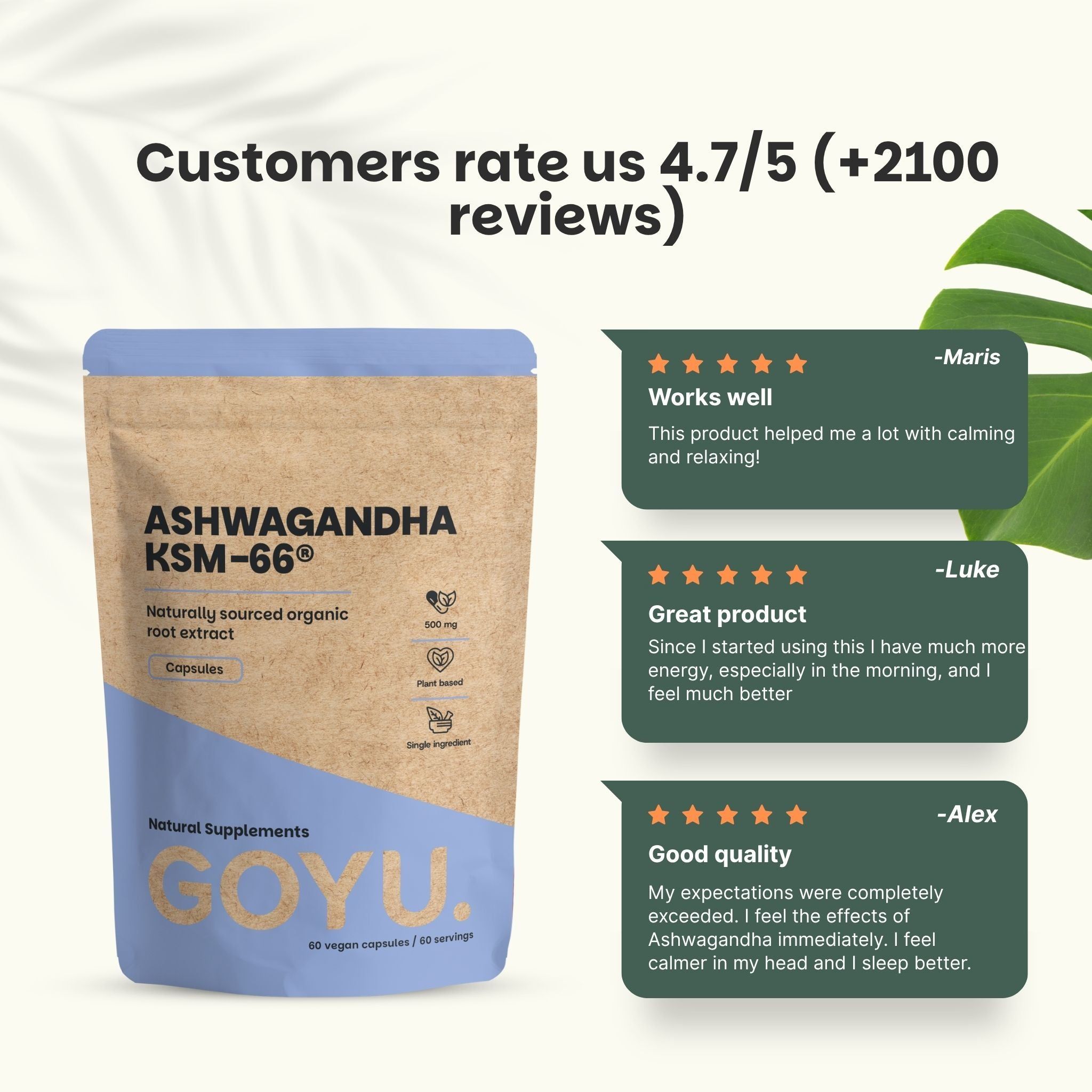 Pochette marron avec capsules Ashwagandha KSM-66, 500 mg, extrait bio, à côté de feuilles vertes.