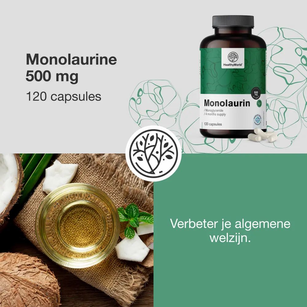 Monolaurine 500 mg, 120 capsules, met citaat.