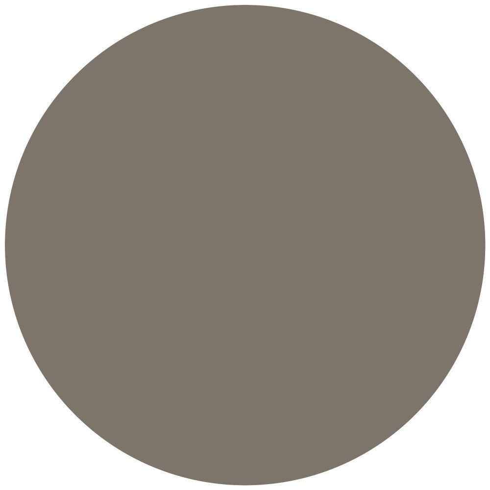 Cercle de couleur marron clair. Aucun autre élément visible.