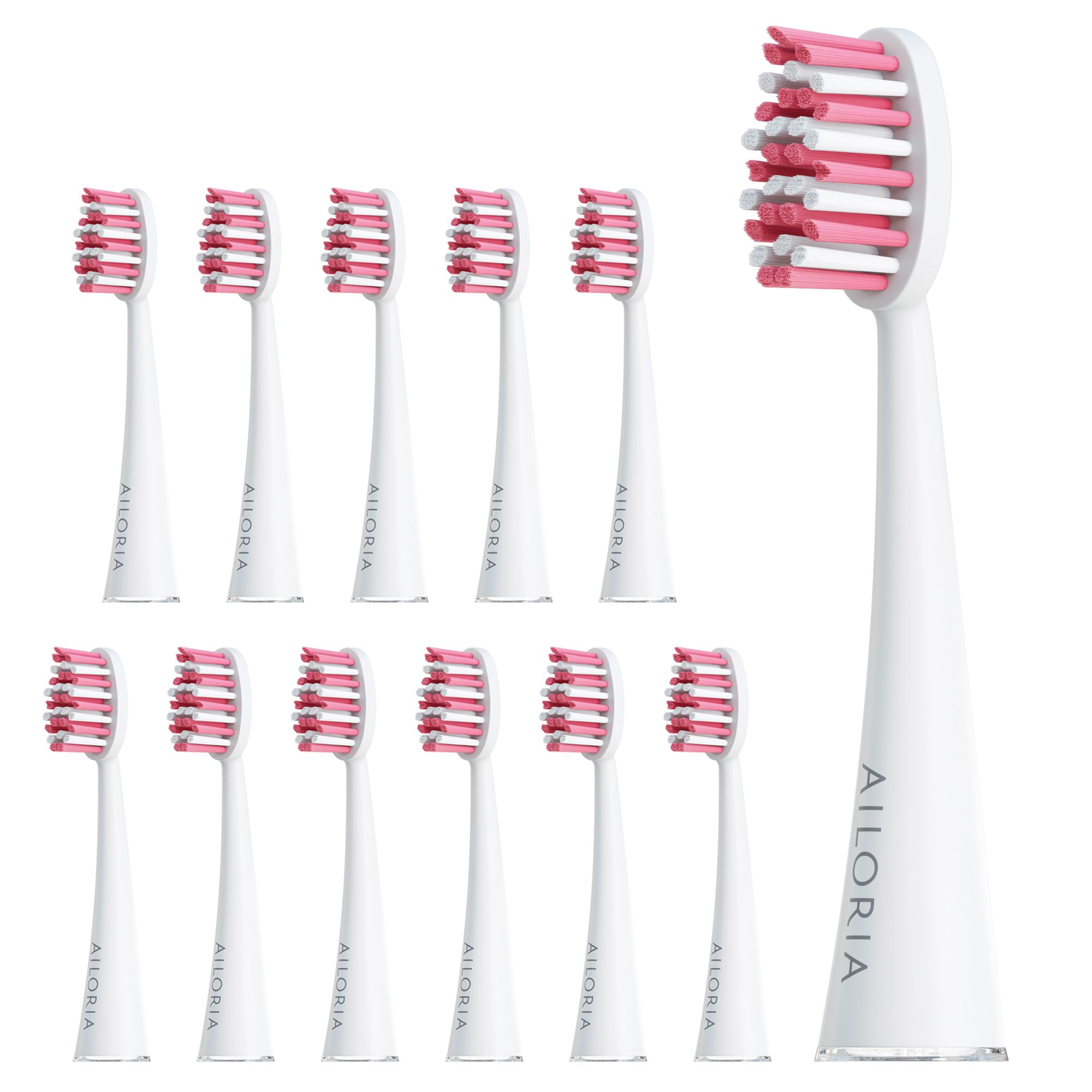 Têtes de brosse à dents blanches avec soies roses. 12 pièces. Logo AILORIA sur le manche.