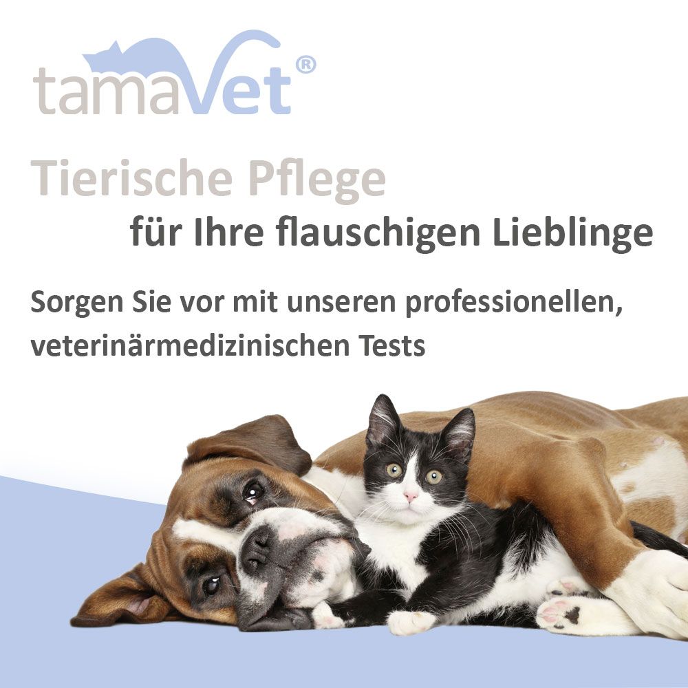 tamaVet Giardien Sneltest voor Honden en Katten