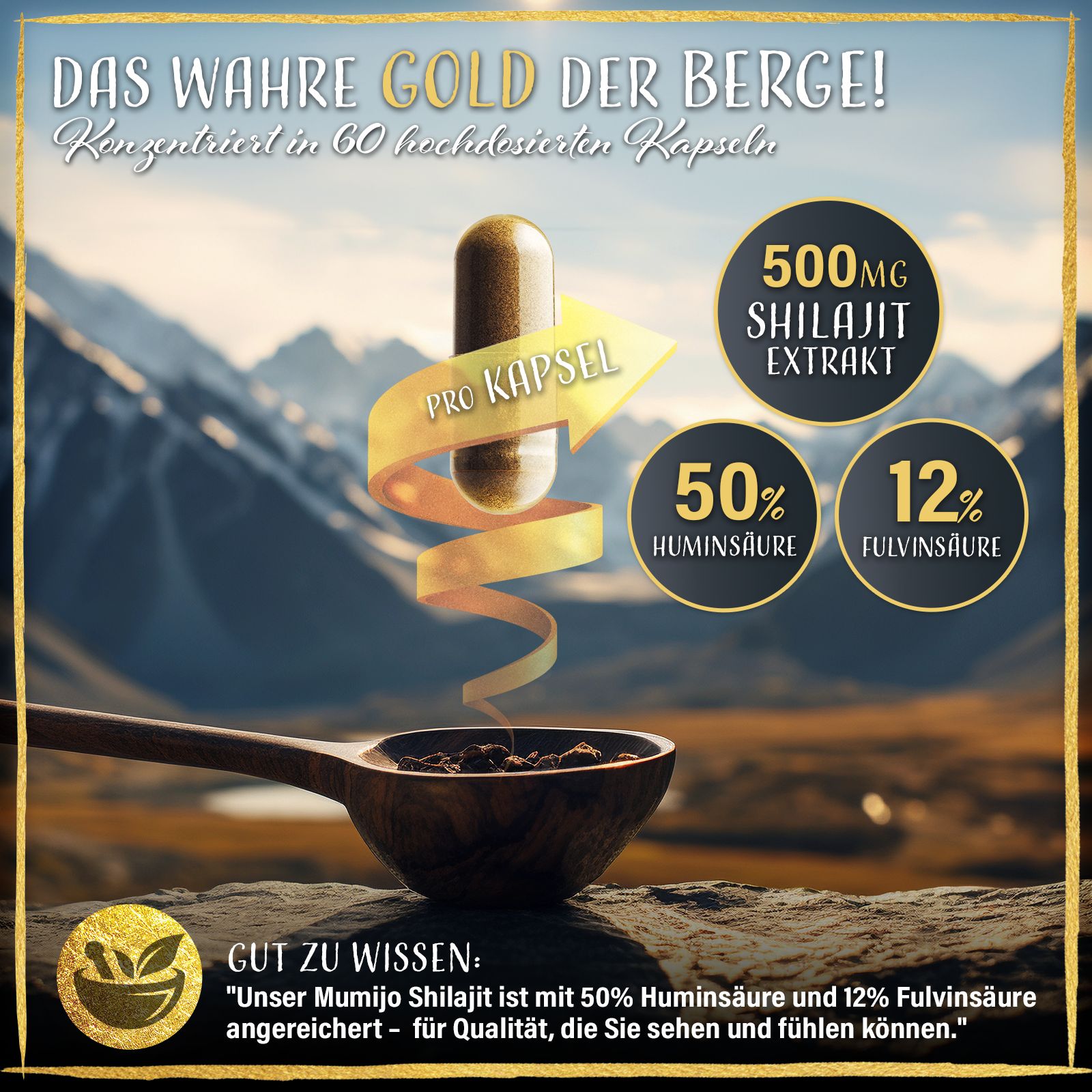Image publicitaire avec fond de montagnes. Flèche dorée vers gélule. Texte : 500mg extrait de Shilajit, 50% acide humique, 12% acide fulvique.