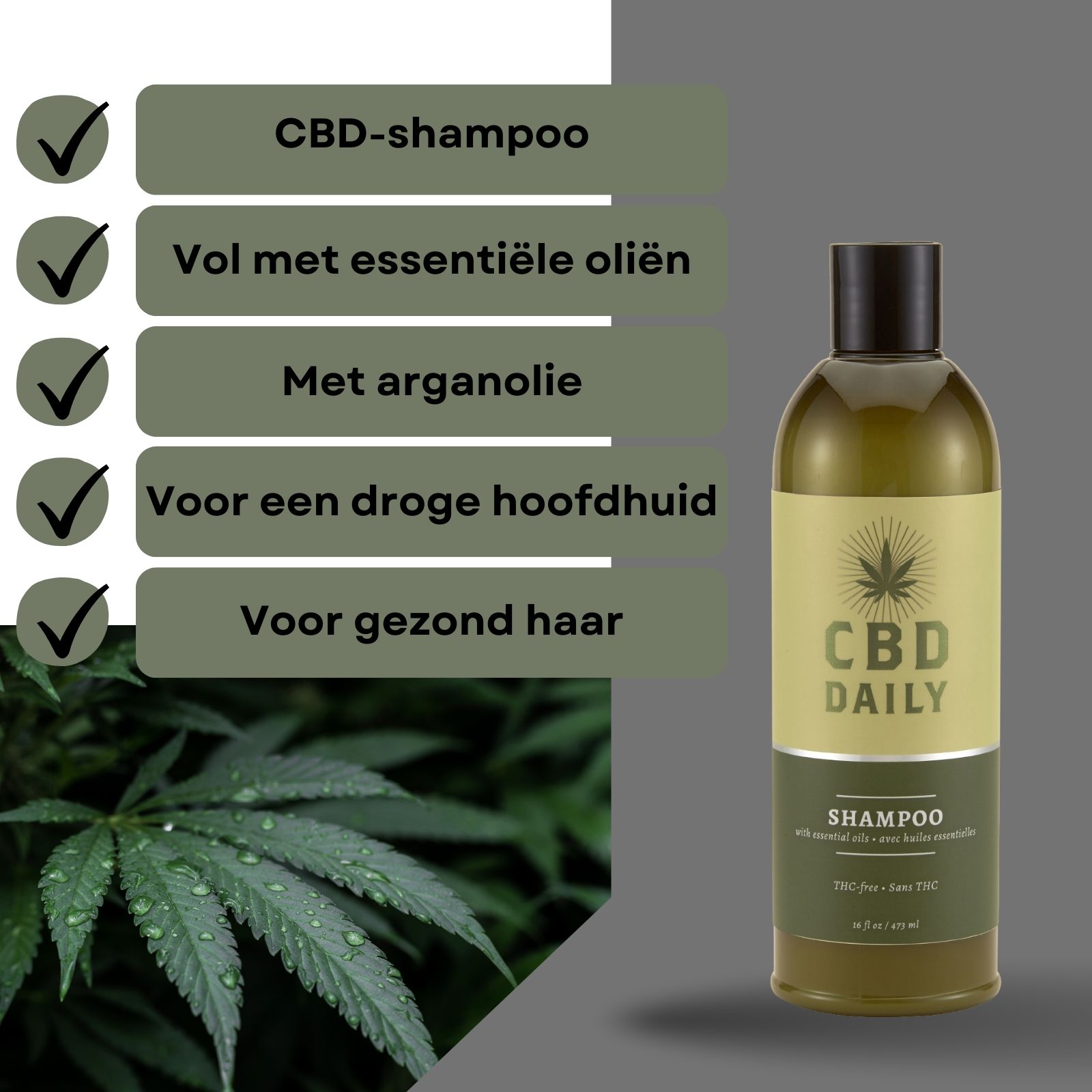 Fles CBD-shampoo. Tekst: CBD-shampoo, vol met essentiële oliën, met arganolie, voor een droge hoofdhuid, voor gezond haar.