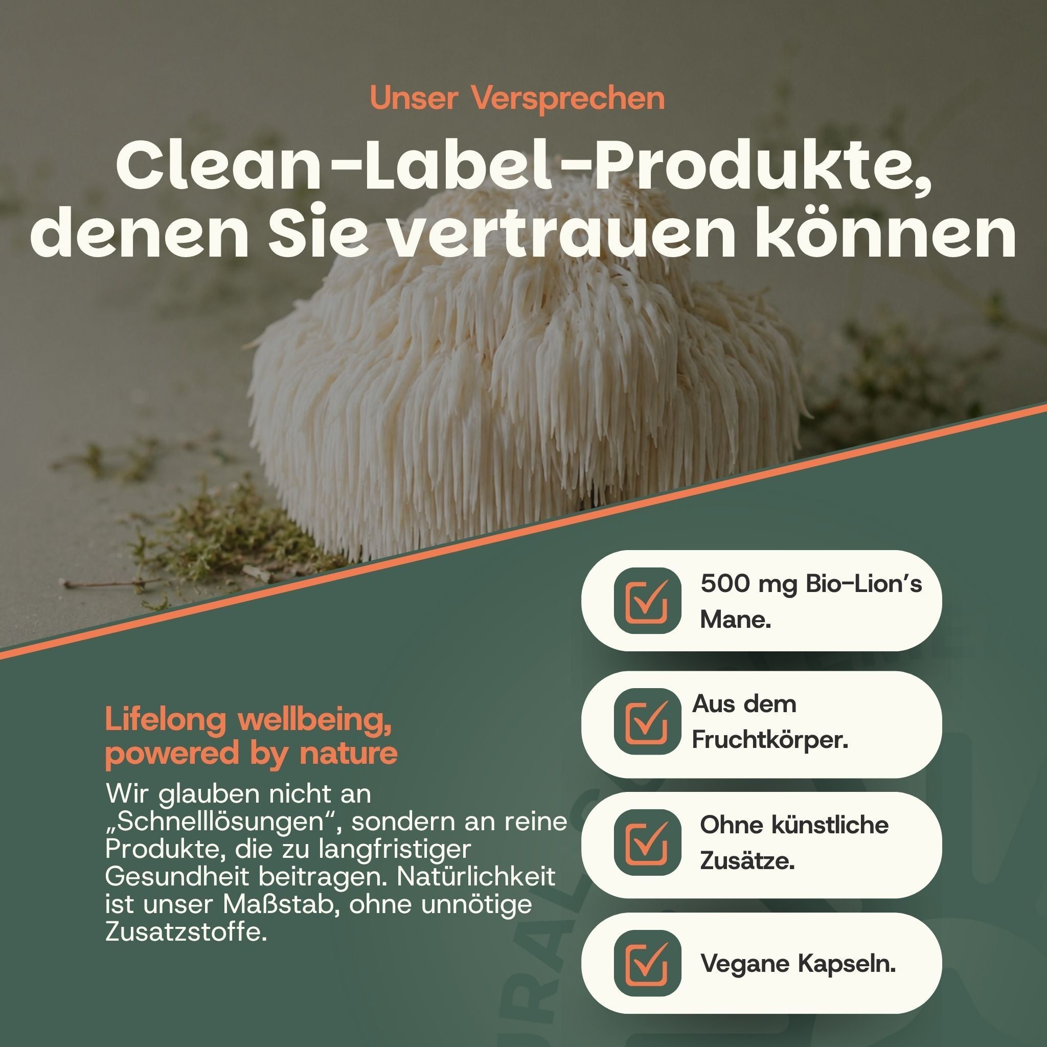 Verpakking voor baard- en snorverf, Zwartbruin M-45.