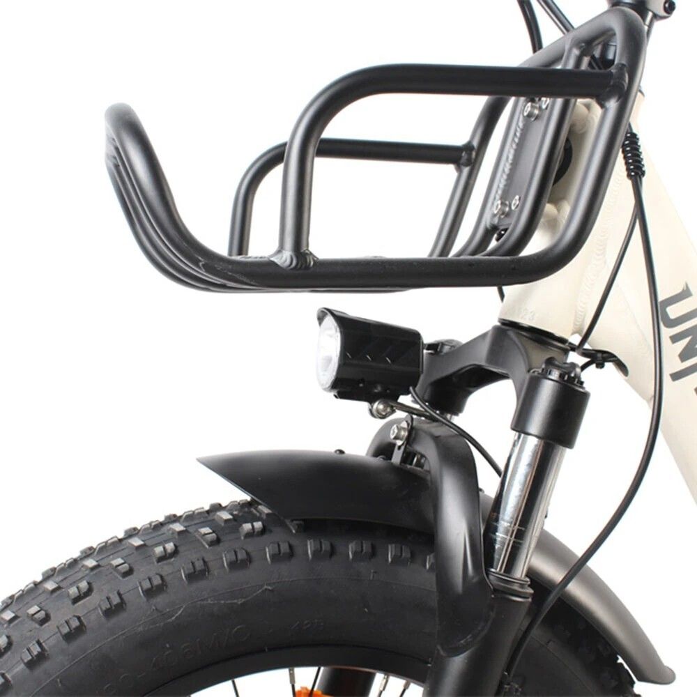 Univercycle B5(Venere) Elektrische fiets met voordrager, 48V 15AH accu