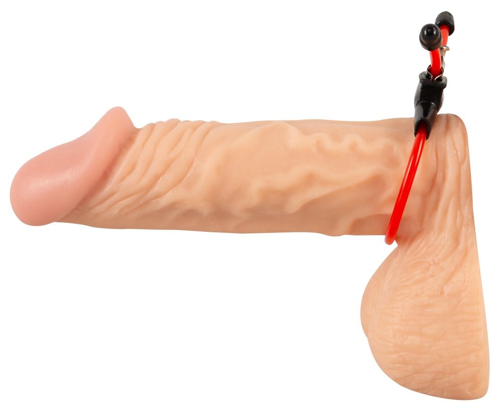 Penis met rode penisring. Zwarte houder met drie rode staven en zwarte uiteinden.