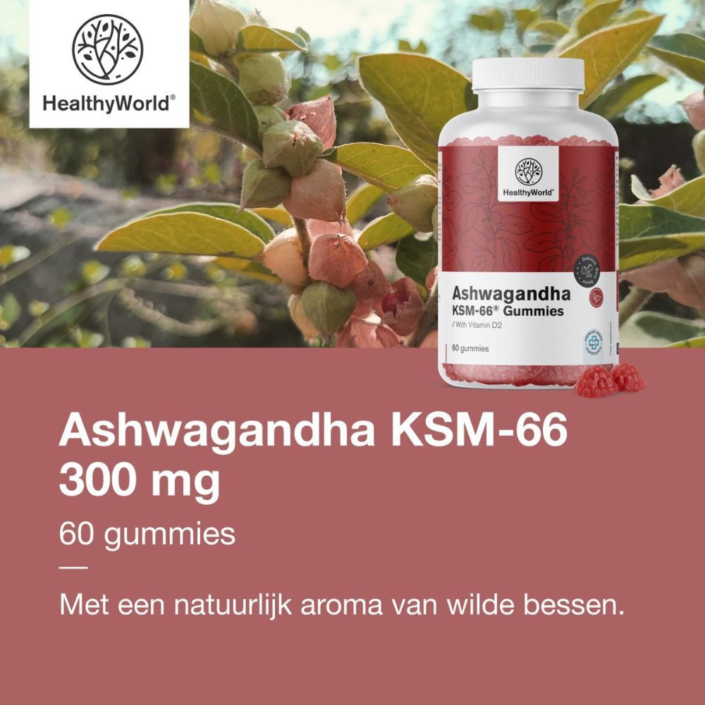 Tekst met productinformatie en een fles Ashwagandha KSM-66 Gummies. Merk: HealthyWorld.