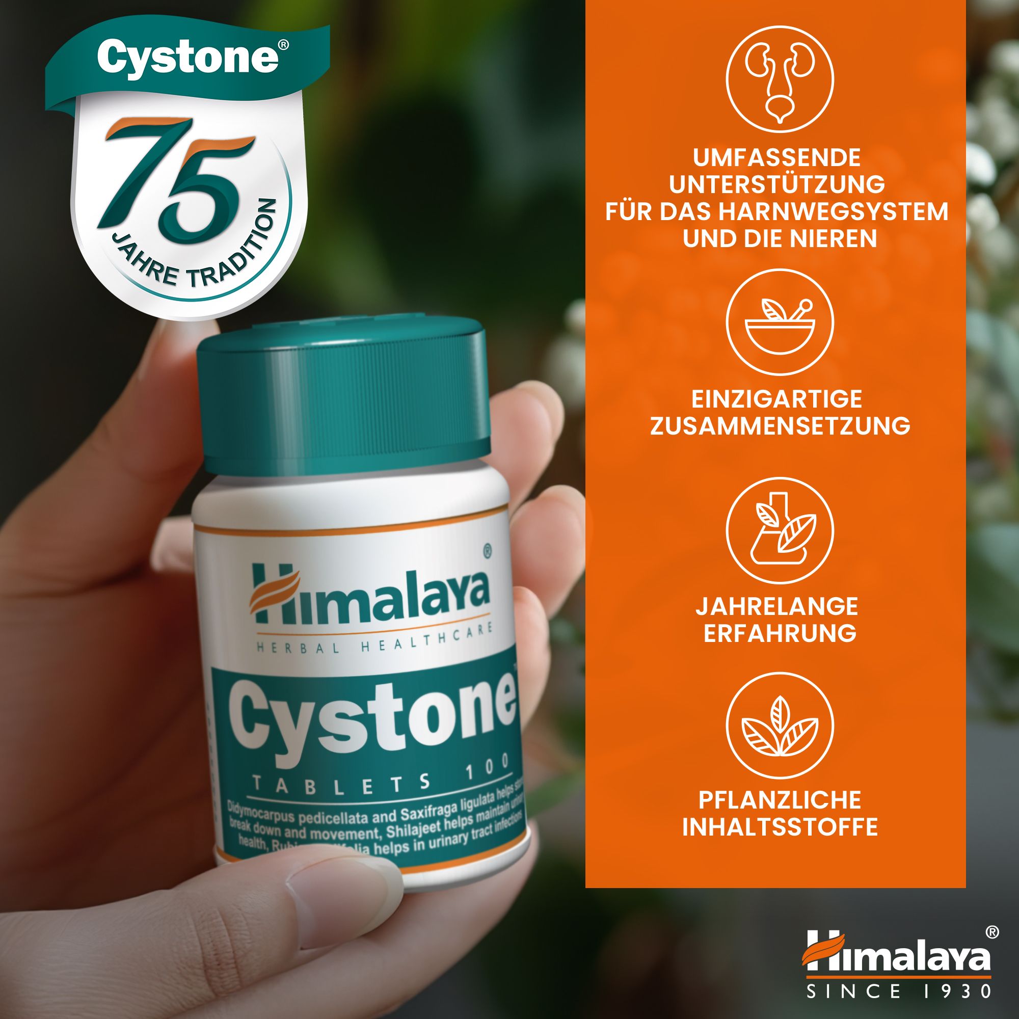 Main tenant une bouteille de Cystone Himalaya, célébrant 75 ans de tradition.