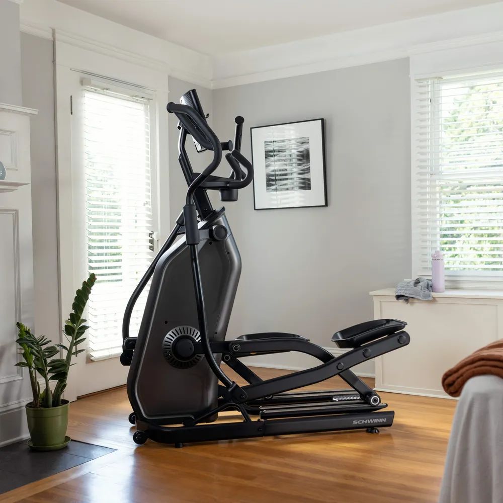 Schwinn Fitness 590E