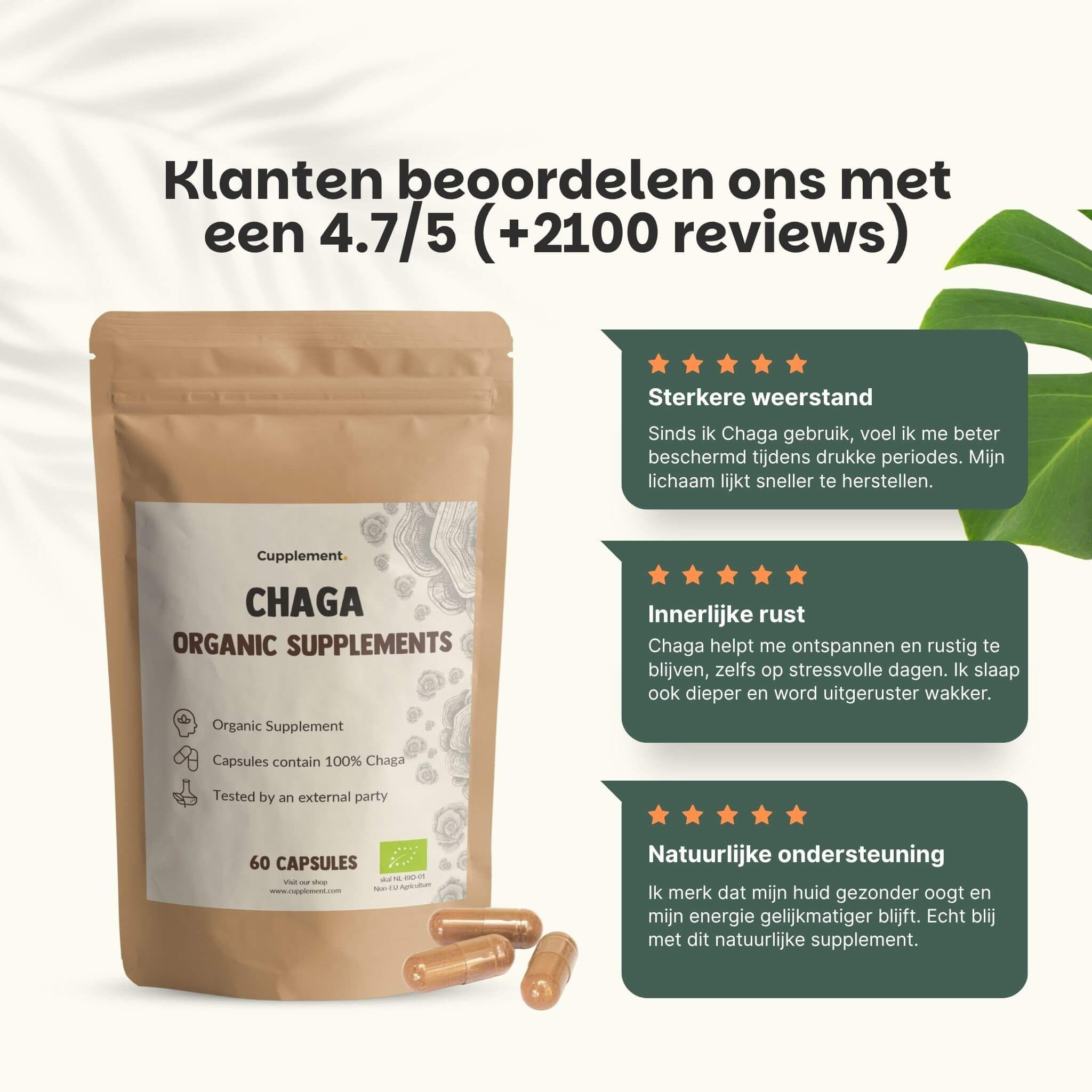 Bruin zakje met Cupplement Chaga 500 mg BIO. Tekst: 100% natuurlijke capsules, 500 mg per capsule.