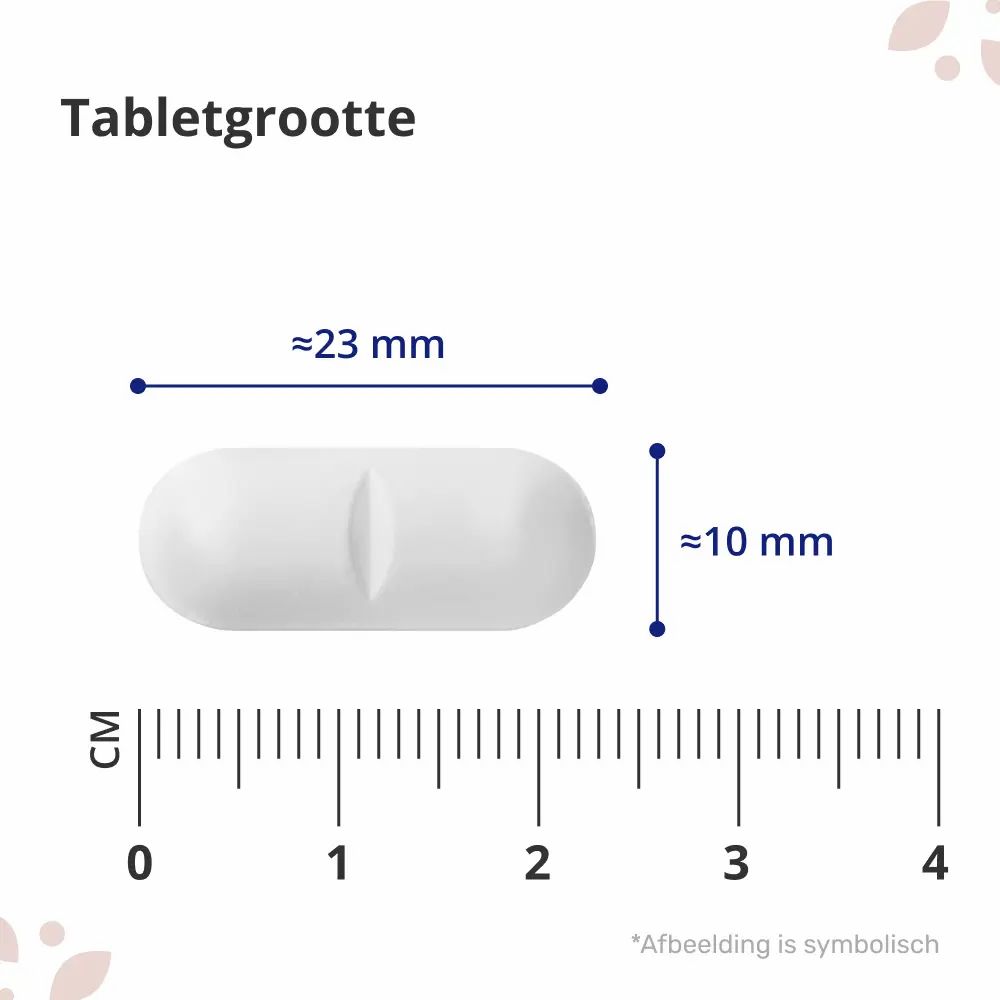 Witte, ovale tablet met een groef. Afmetingen: ca. 23 mm x 10 mm. Opschrift: Tabletgrootte.