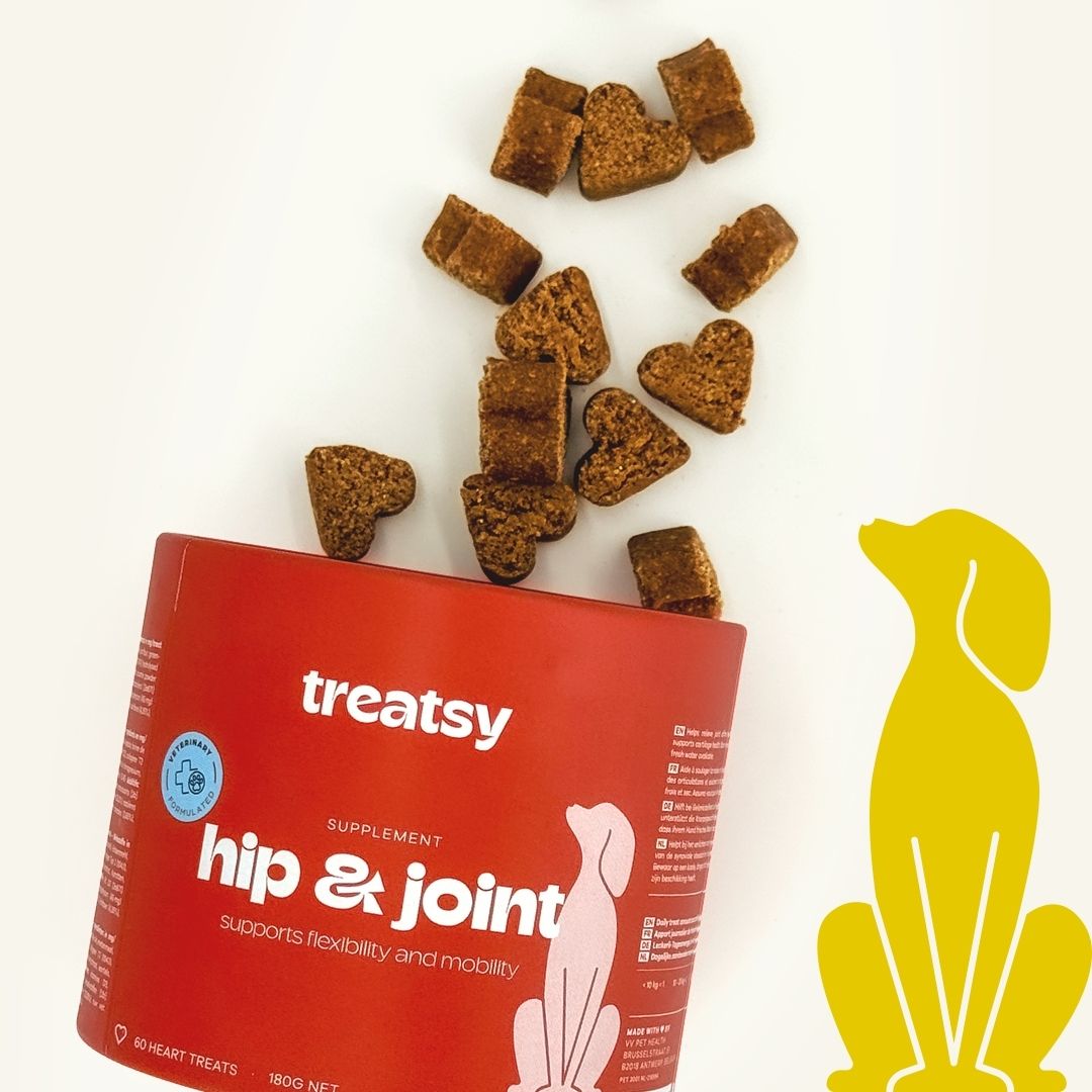 Boîte rouge Treatsy, hip & joint. Friandises en forme de cœur tombant. Chien jaune.