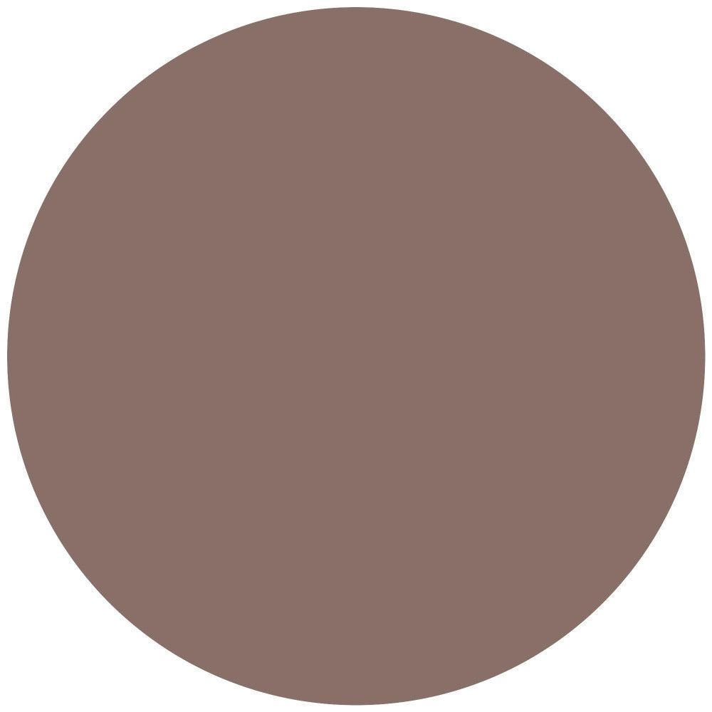 Cercle de couleur marron. Aucun autre détail visible.