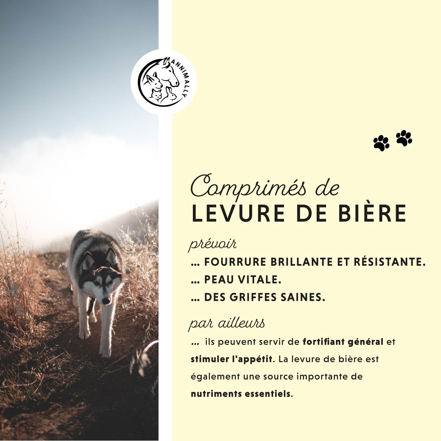 Chien sur un sentier. Texte : Levure de Bière pour un pelage brillant, une peau vitale, des griffes saines. Logo. Empreintes.