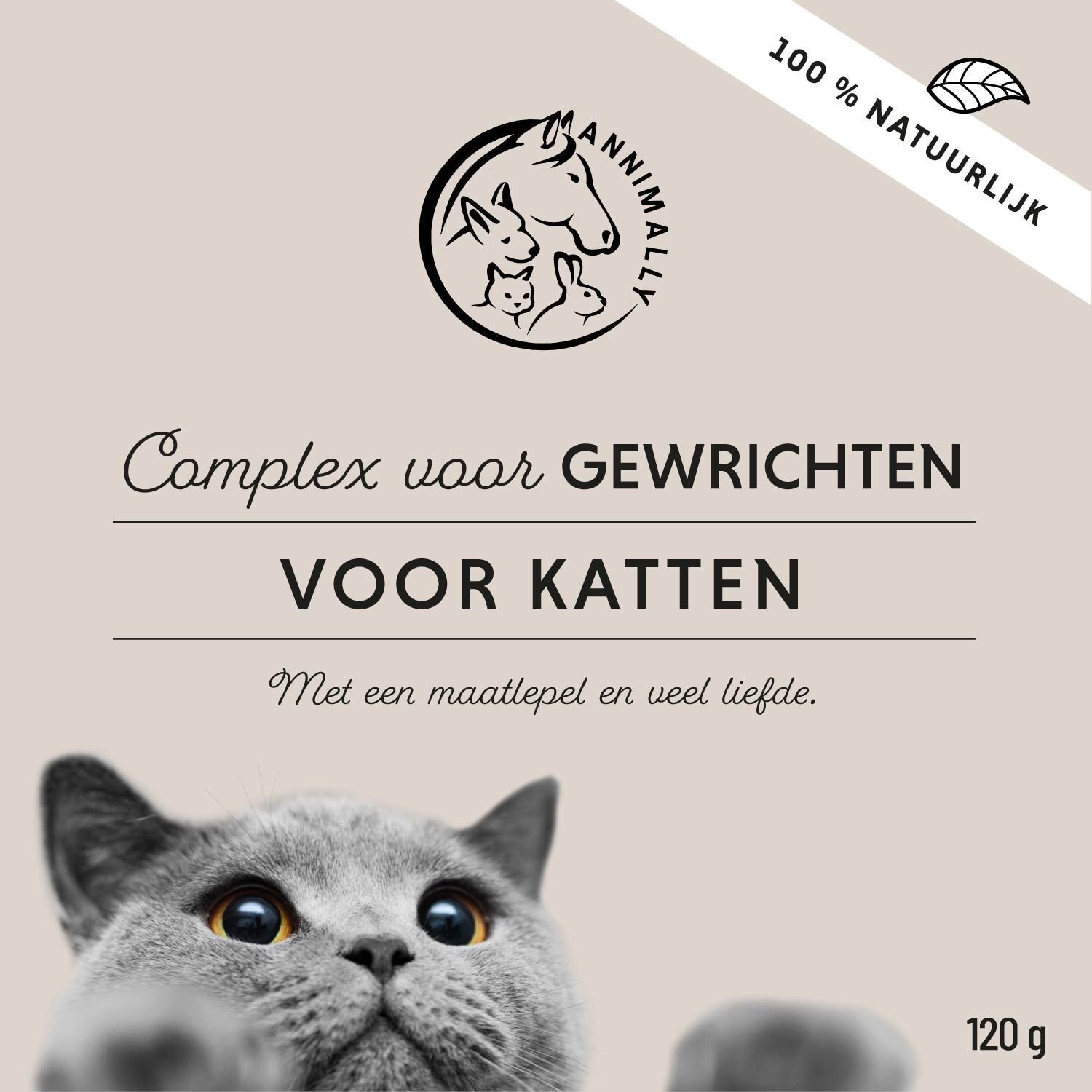 Tekst met ingrediënten. Kat kijkt omhoog. Groenlipmossel, gelatine, duivelsklauw.