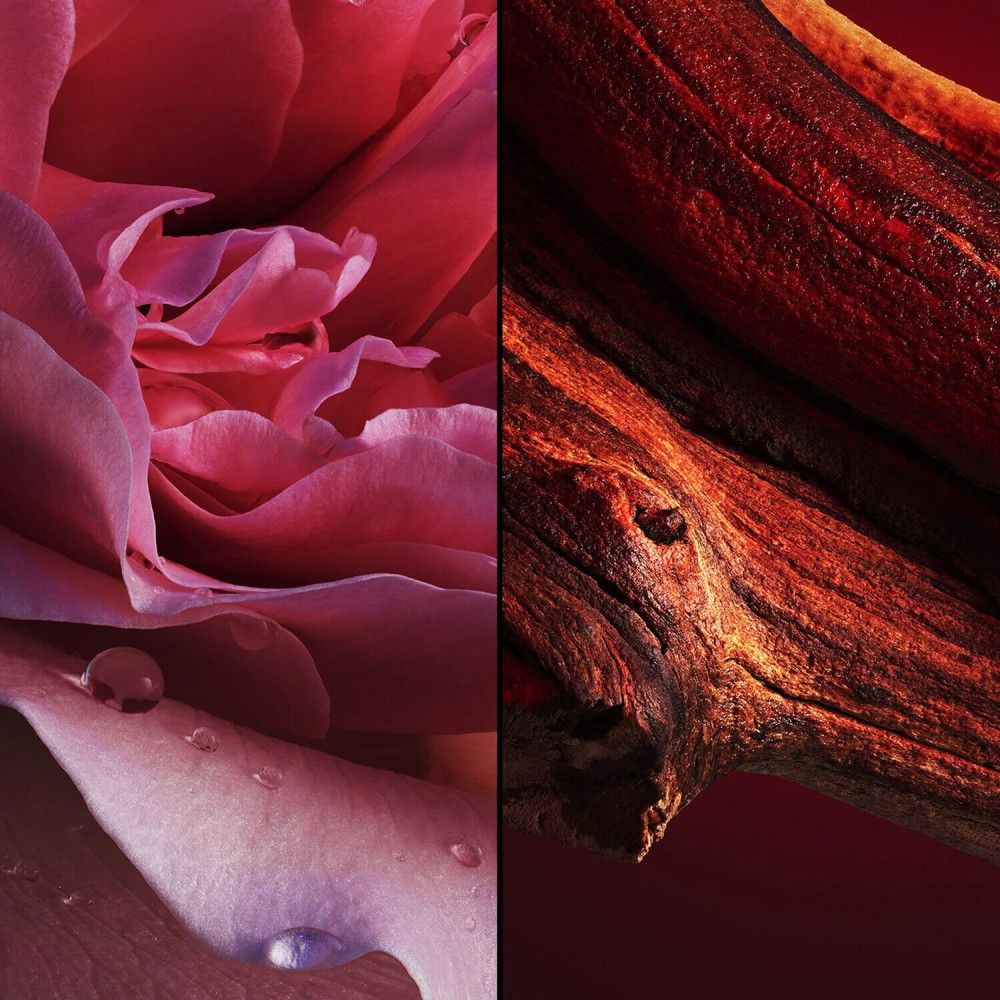 Image en deux parties. À gauche, une rose rose avec des gouttes d'eau. À droite, un morceau de bois avec une couleur rouge.