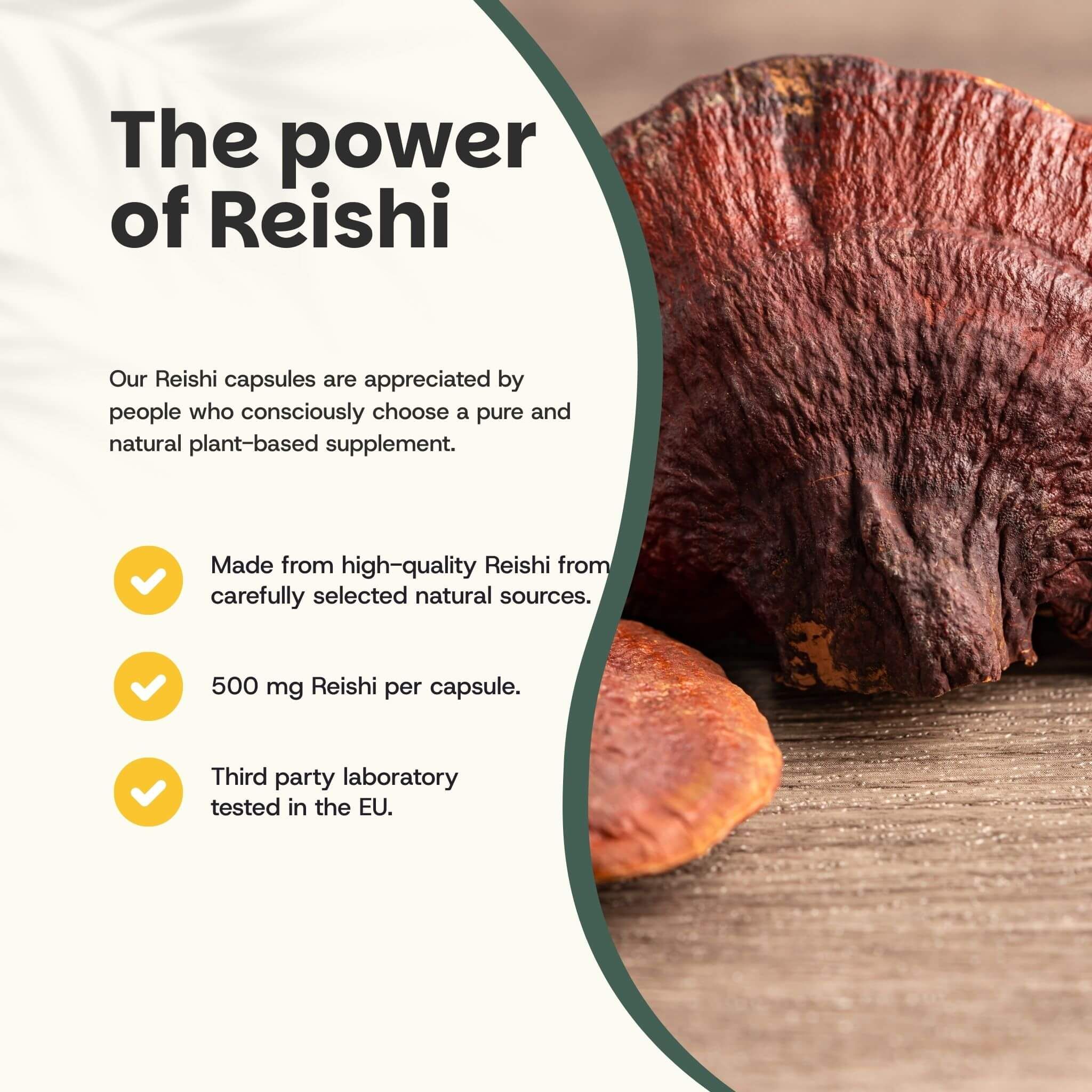 Texte : Le pouvoir du Reishi. 500 mg de Reishi par gélule. Testé en laboratoire dans l'UE.