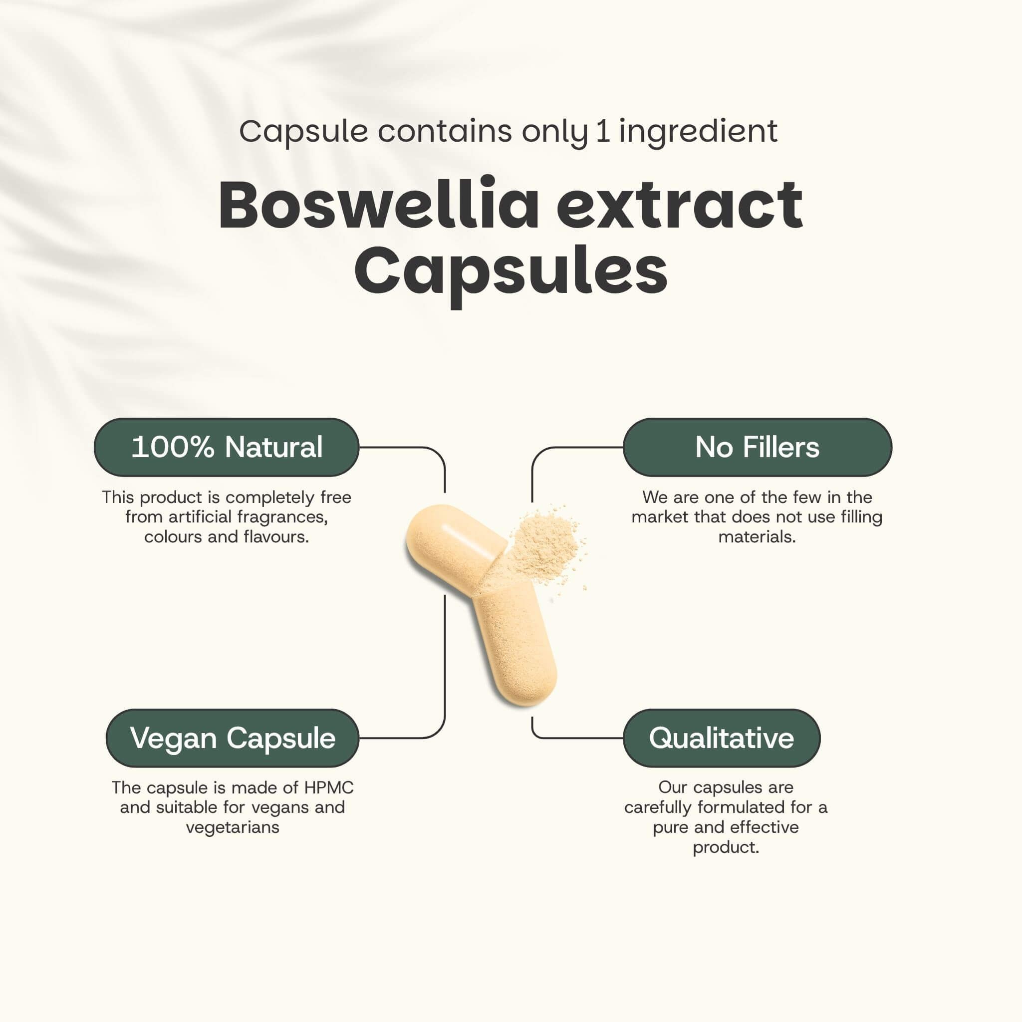 Cupplement - Extrait de Boswellia 500 mg