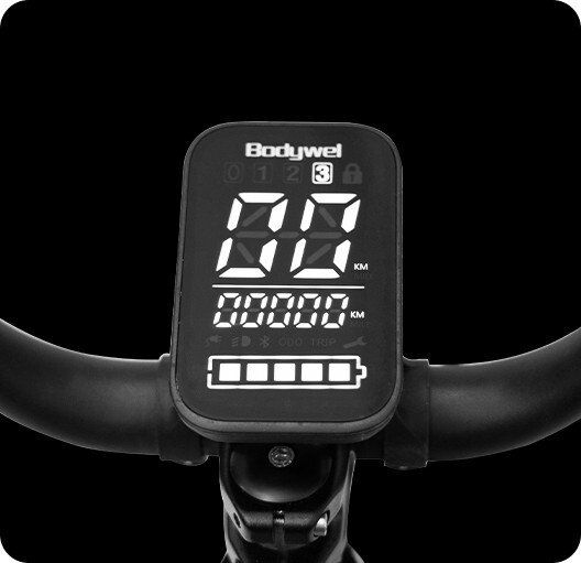 Bodywel D9 Elektrische fiets met 48V 15Ah LED-display en app-connectiviteit