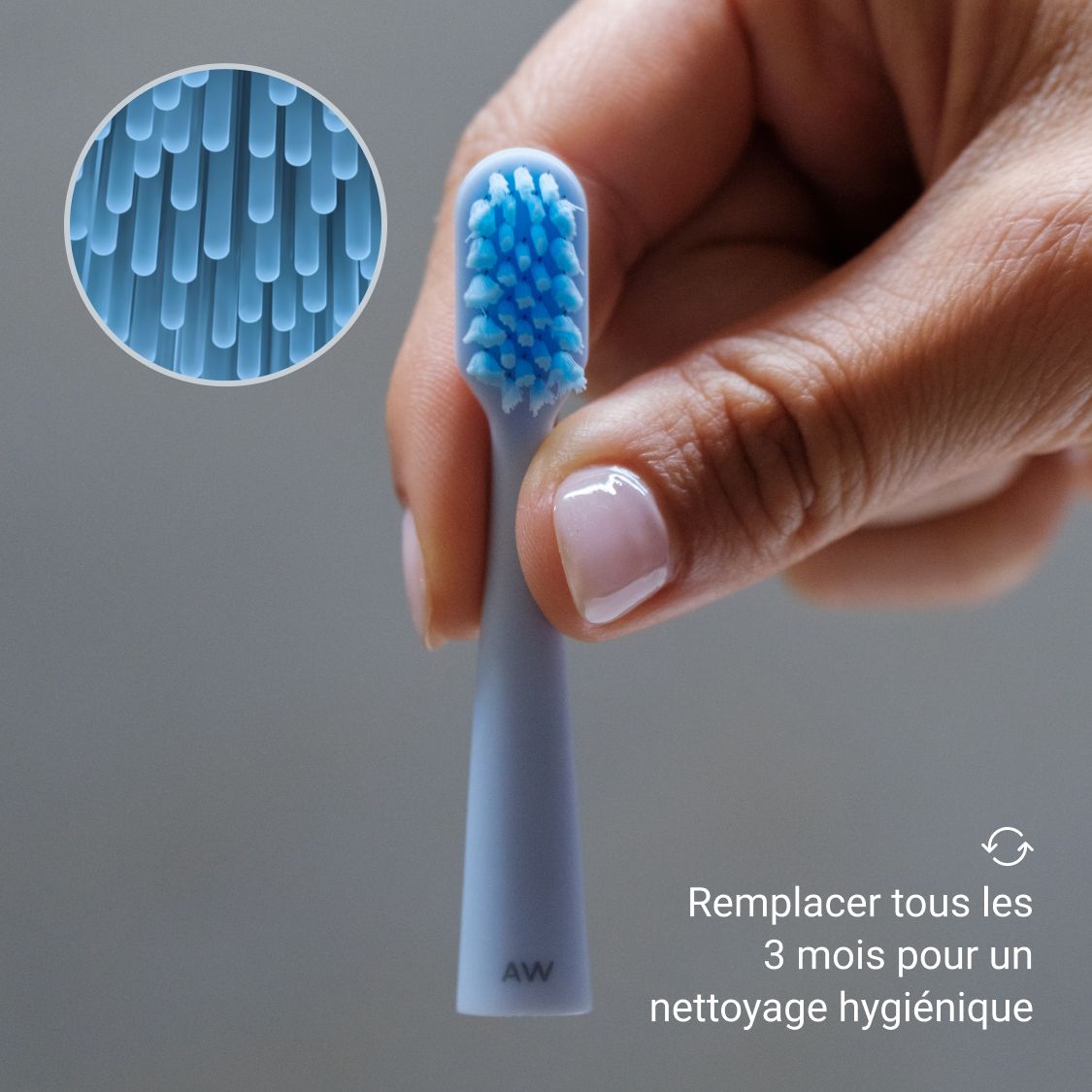 Gros plan d'une tête de brosse bleue avec des soies bleues. Vue agrandie des soies.