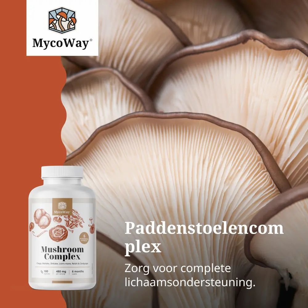 Fles met capsules. Tekst: Paddenstoelencomplex. 180 capsules. Ontdek de kracht van natuur en traditie.