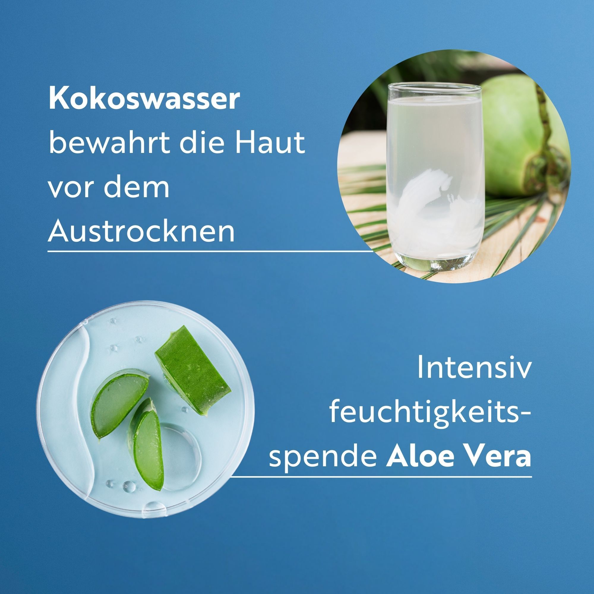 Verre d'eau de coco, à côté d'une noix de coco. Sur une plaque d'aloe vera. Texte : Eau de coco, Aloe Vera.