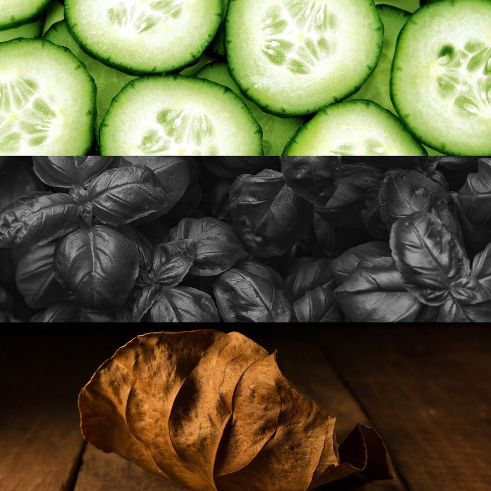 Drie horizontale stroken: komkommerschijfjes, basilicumbladeren, bruin blad op hout.
