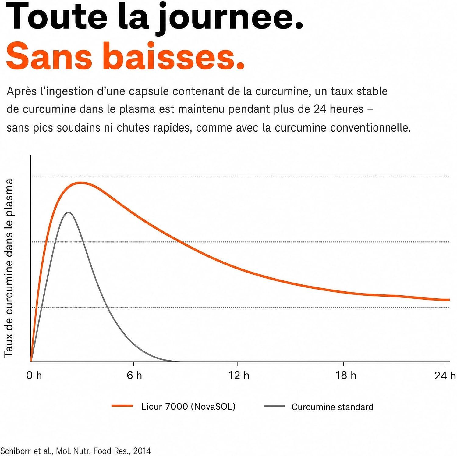 Graphique montrant les niveaux de curcumine dans le plasma sur 24 heures. Licur 700 (NovaSOL) maintient un taux stable plus longtemps que la curcumine standard.
