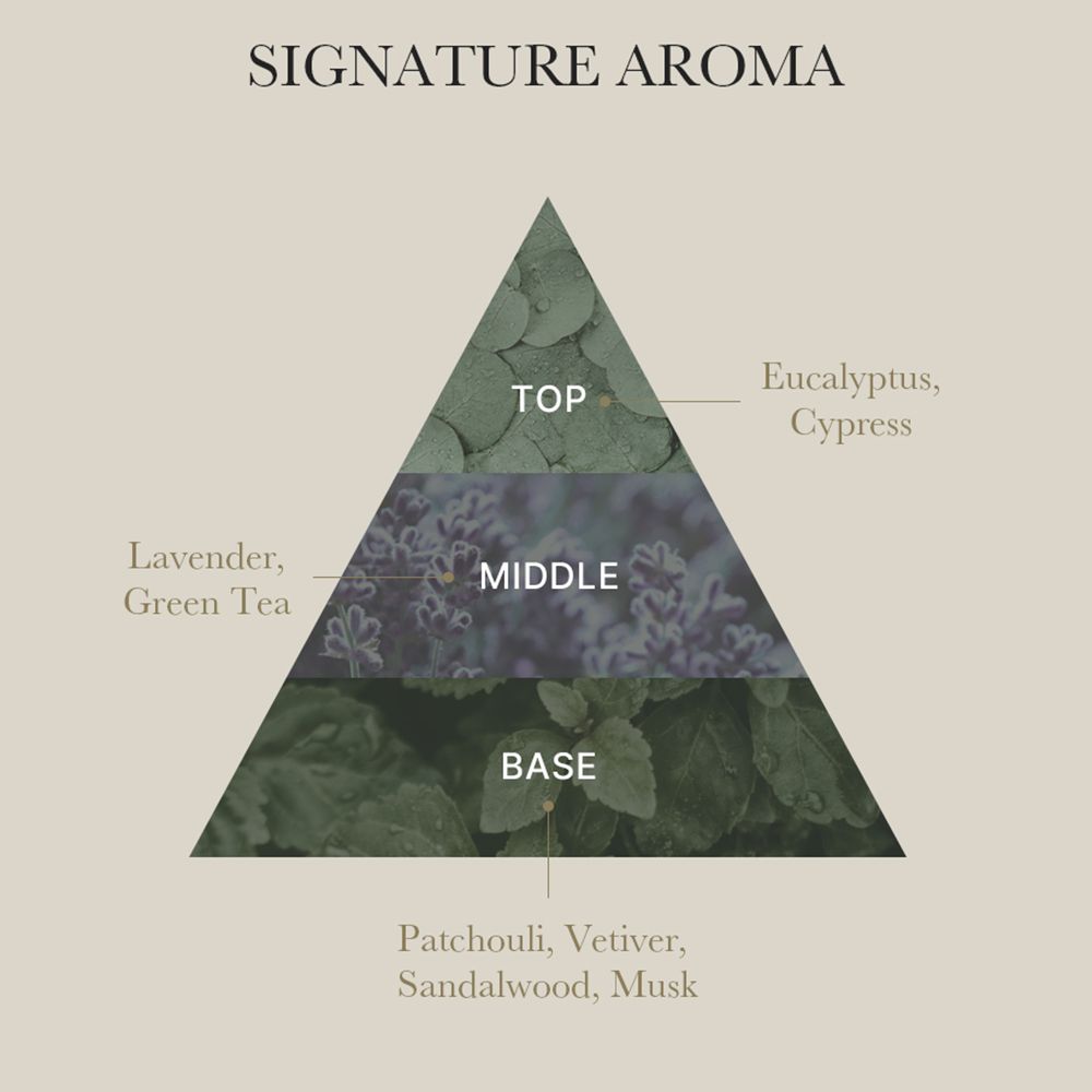 Graphique en forme de pyramide. Inscription: SIGNATURE AROMA. Haut: Eucalyptus, Cyprès. Milieu: Lavande, Thé vert. Base: Patchouli, Vétiver, Bois de santal, Musc.