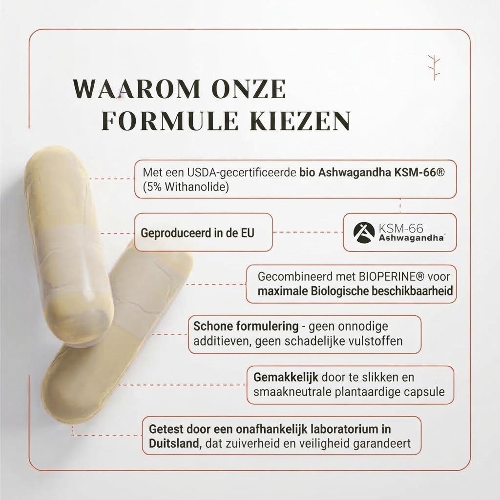 Twee Ashwagandha KSM-66 capsules. USDA-biologisch gecertificeerd, KSM-66, Bioperine, EU-geproduceerd, lab getest.
