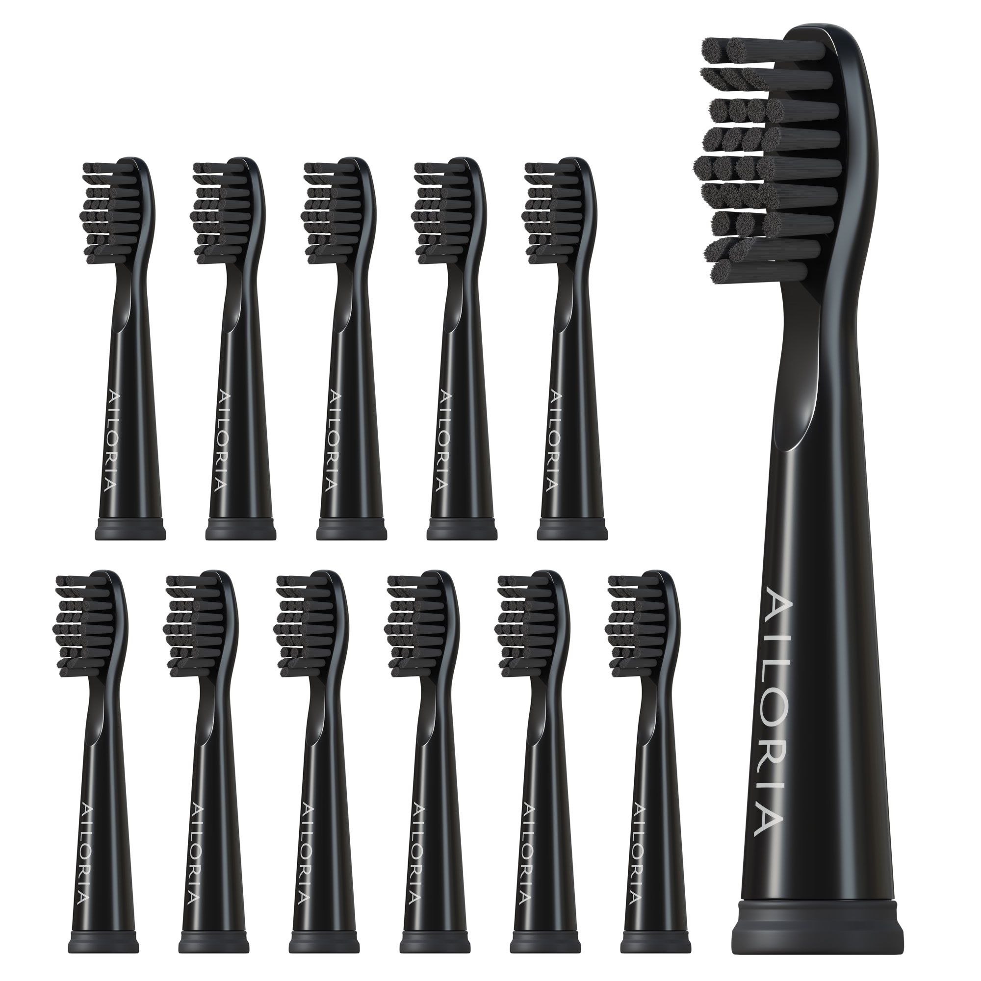 12 têtes de brosse noires AILORIA. Une brosse montée et des brosses individuelles.