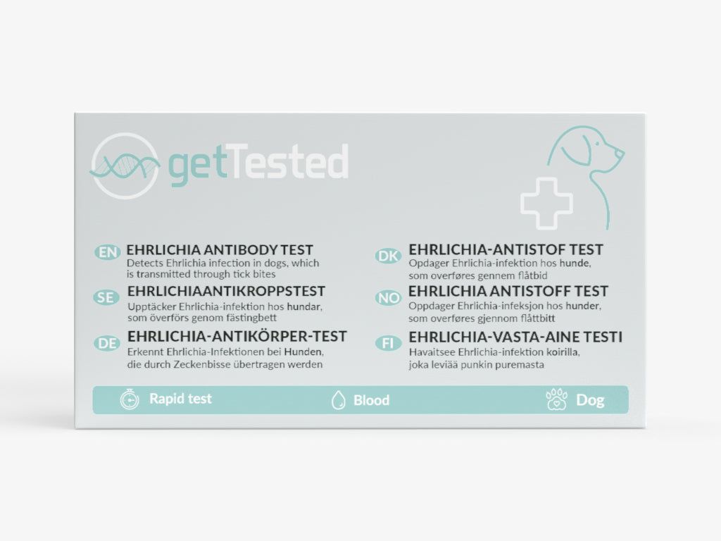 Boîte GetTested avec texte: Test anticorps Ehrlichia pour chiens. Informations sur test rapide, sang et chien.