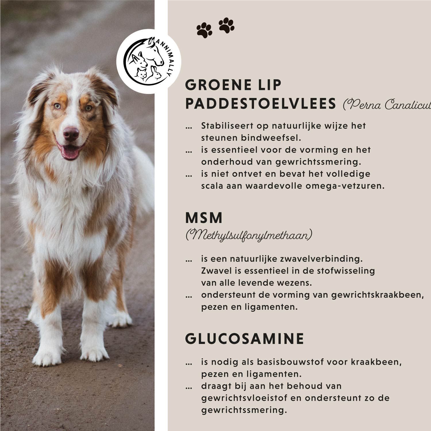 Tekst met ingrediënten: Groene lip paddestoelvlees, MSM, Glucosamine. Hond. Logo. Voetafdrukken.