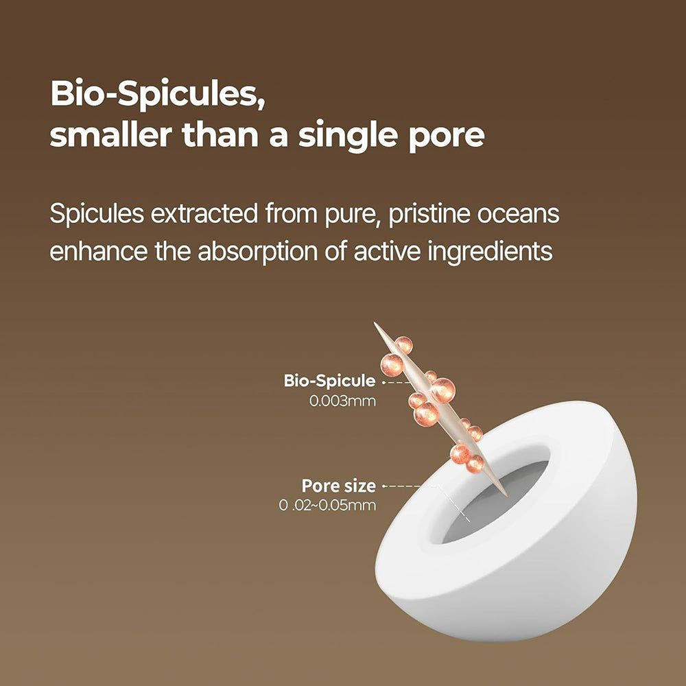 Illustratie van bio-spiculae, kleiner dan een poriegrootte.