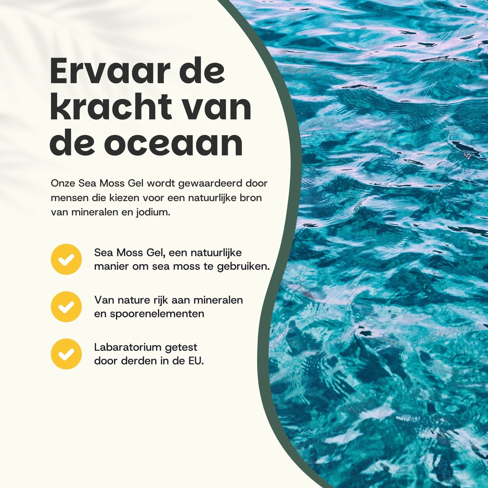 Tekst over de kracht van de oceaan en de voordelen van zeemosgel.
