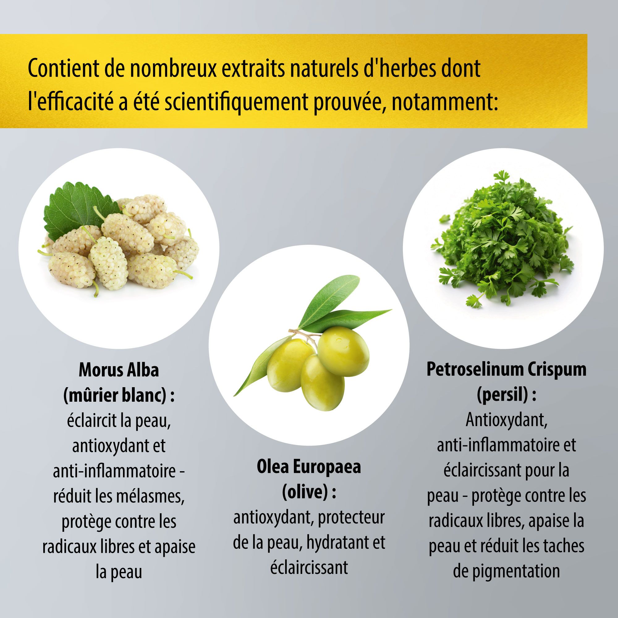 Ingrédients : Mûrier blanc, olive, persil. Texte : Contient des extraits naturels de plantes. Efficacité prouvée scientifiquement.