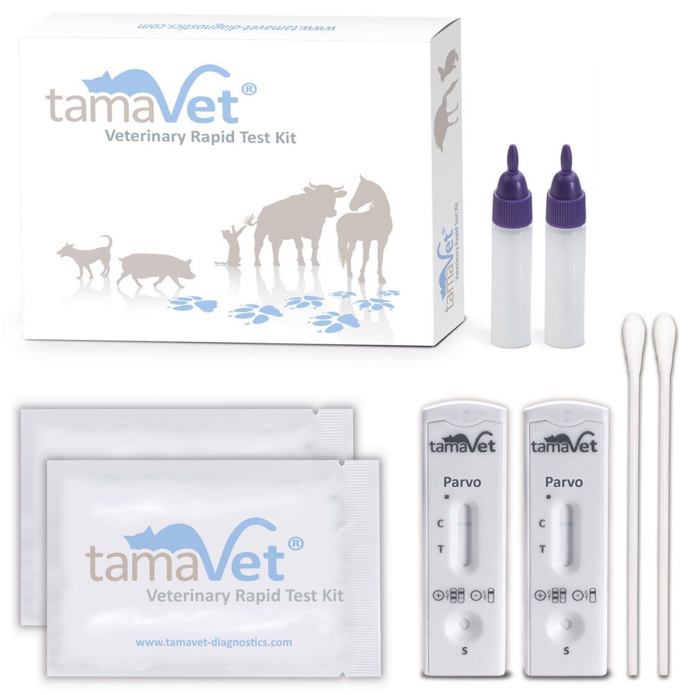 tamaVet Test rapide Parvovirus pour chiens et chats